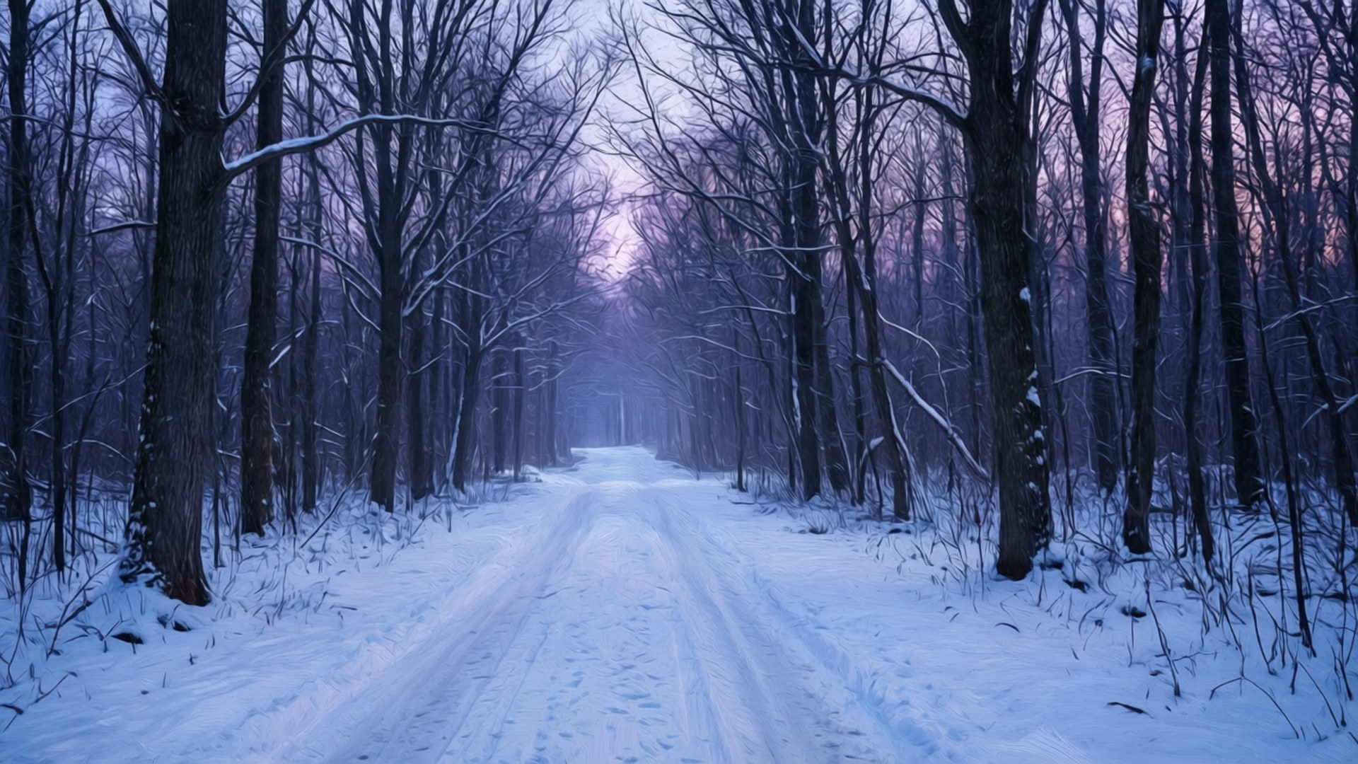 Skumringsskov i sne Wallpapers
