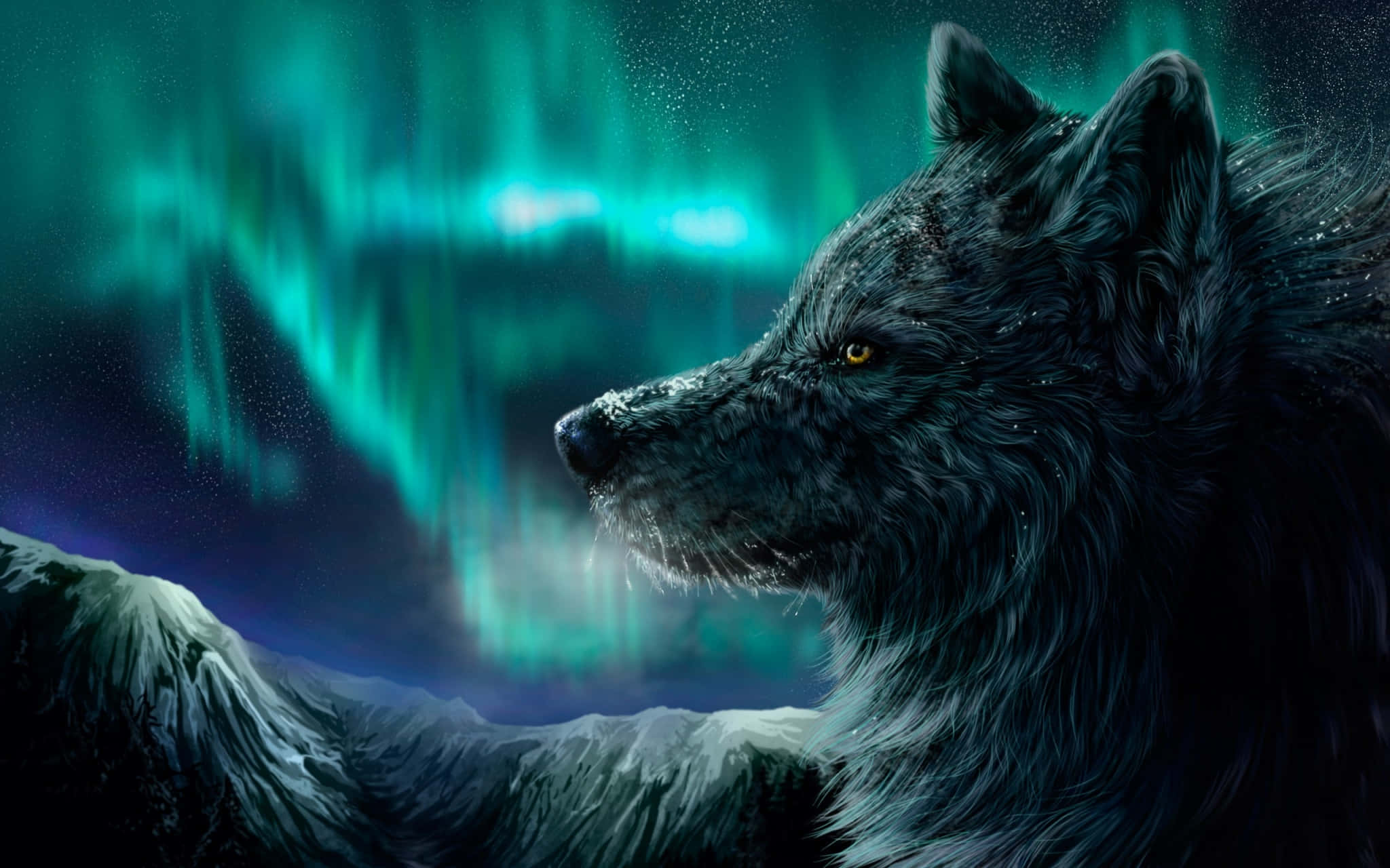 Slående majestætisk, den seje ulv Wallpapers