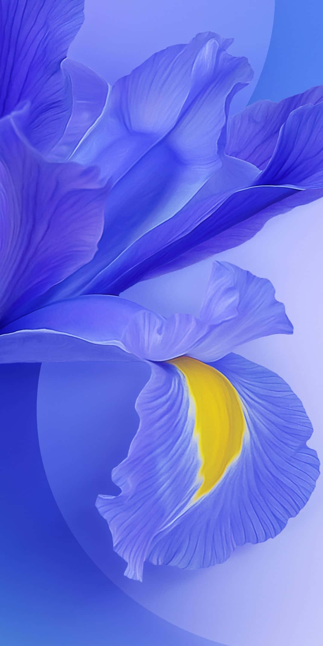 Slank Xiaomi-smartphone med gradientbaggrund Wallpapers