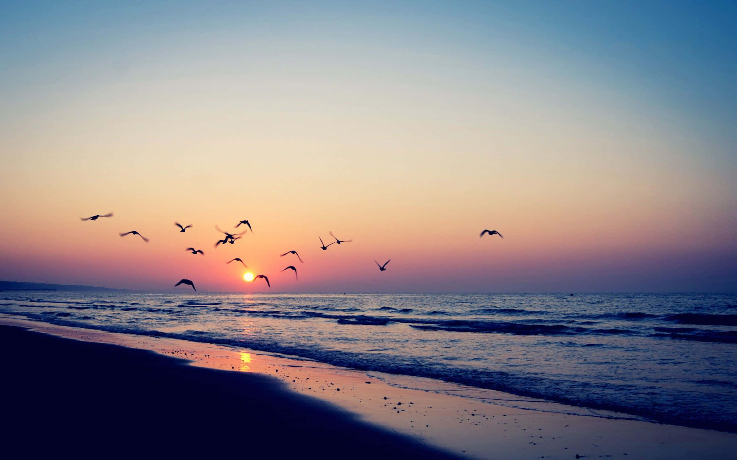 Slap af og nyd naturen på sit bedste ved den æstetiske strand. Wallpapers