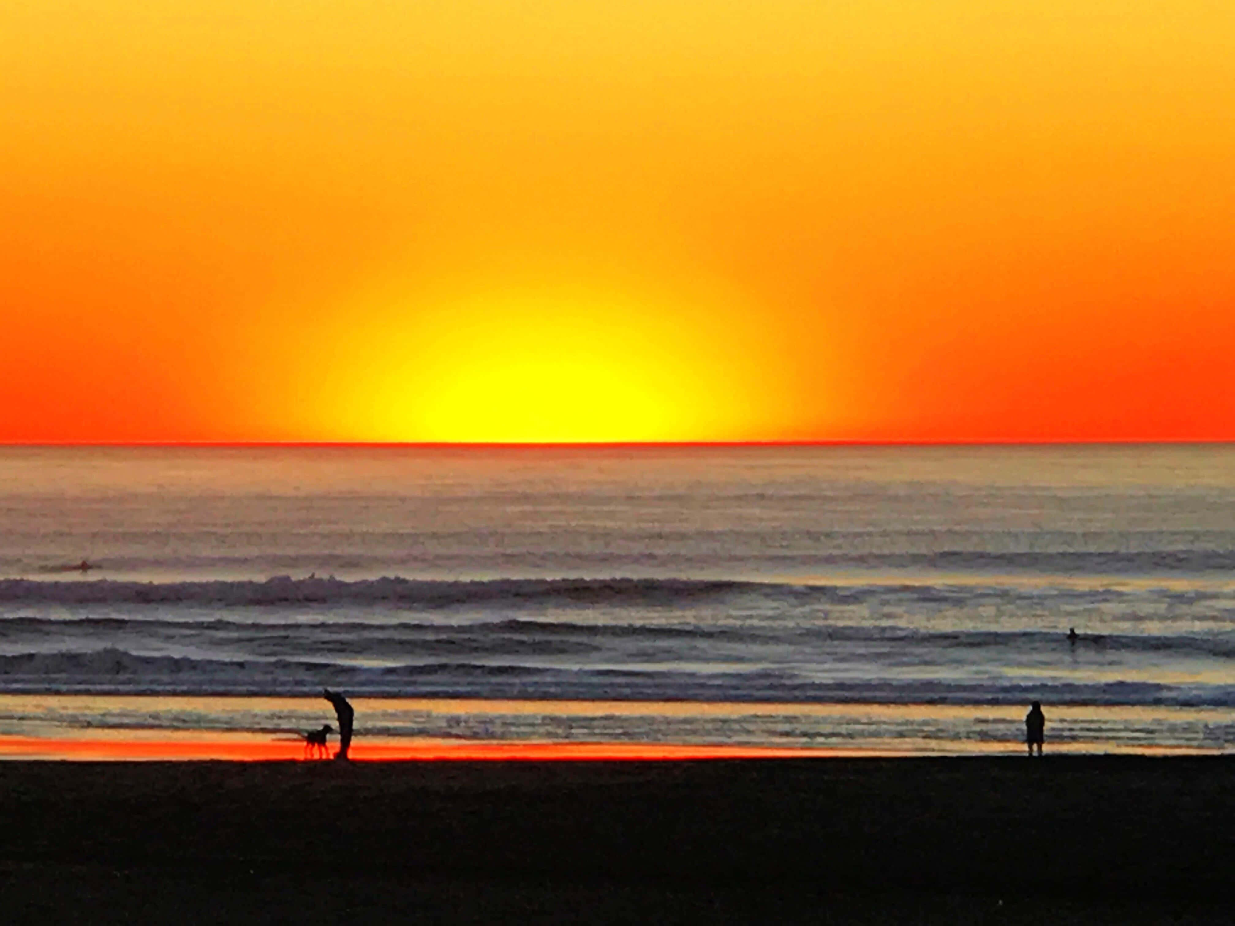 Slap af og nyd stranden Wallpapers