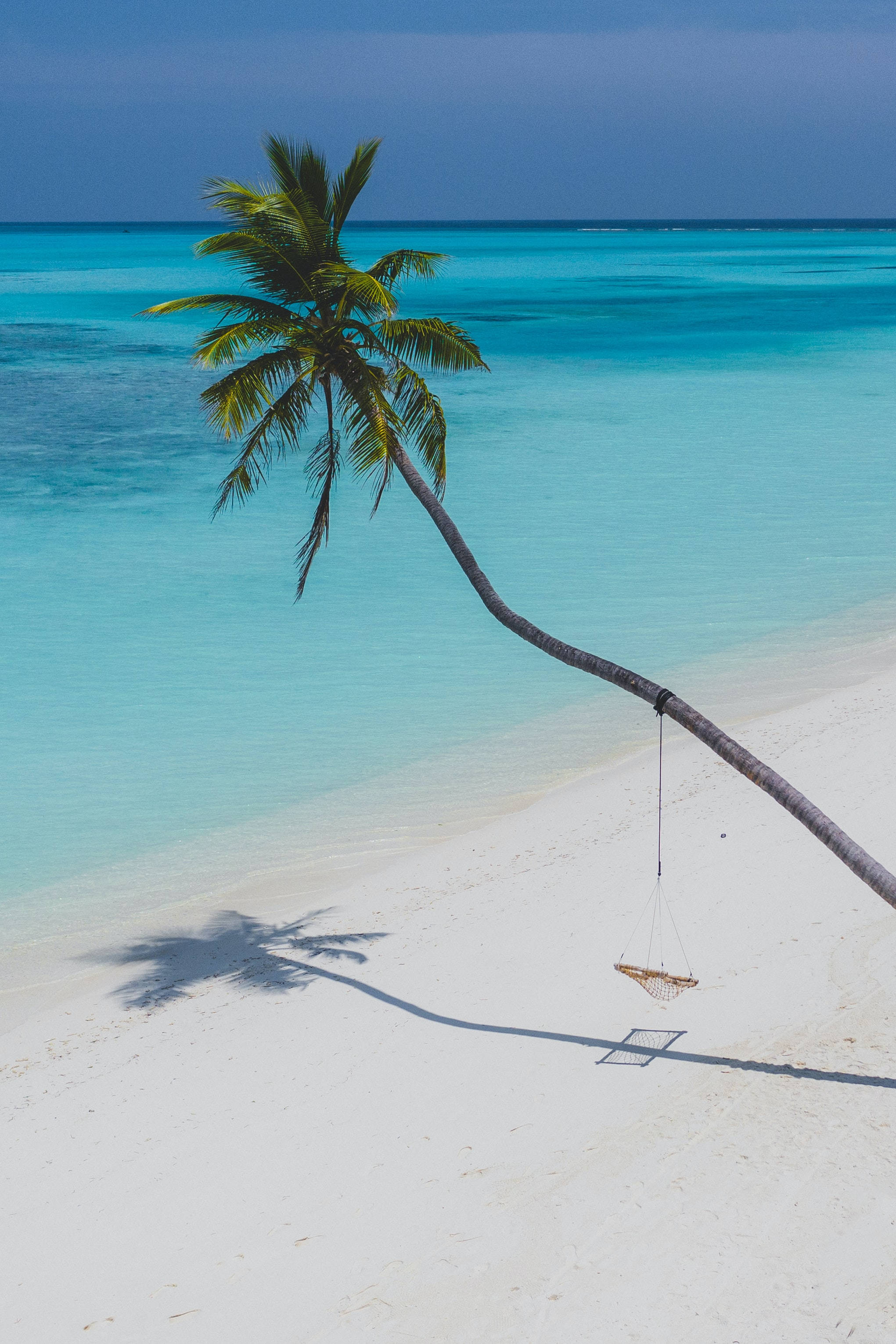 Slap af på en tropisk strand og nyd sommersolen Wallpapers