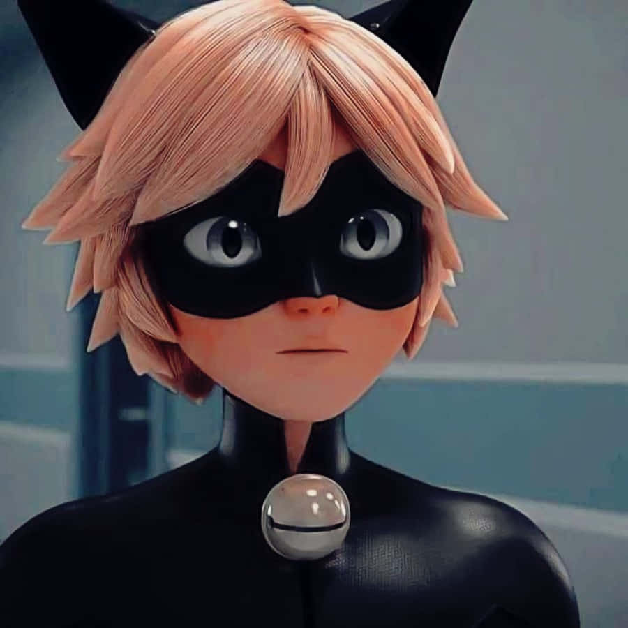 Slipp din indre Cat Noir løs Wallpapers