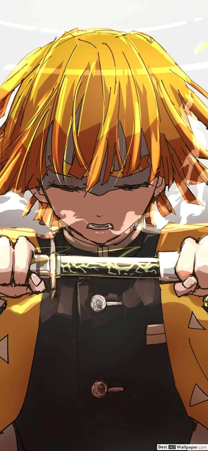 Slut dig til Tanjiro på hans rejse for at beskytte sin familie i Demon Slayer. Wallpapers