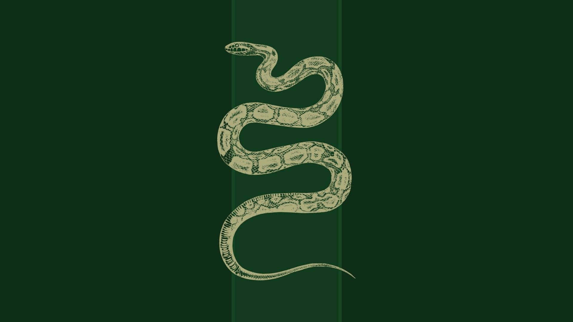 Slytherin soveværelsesæstetik Wallpapers
