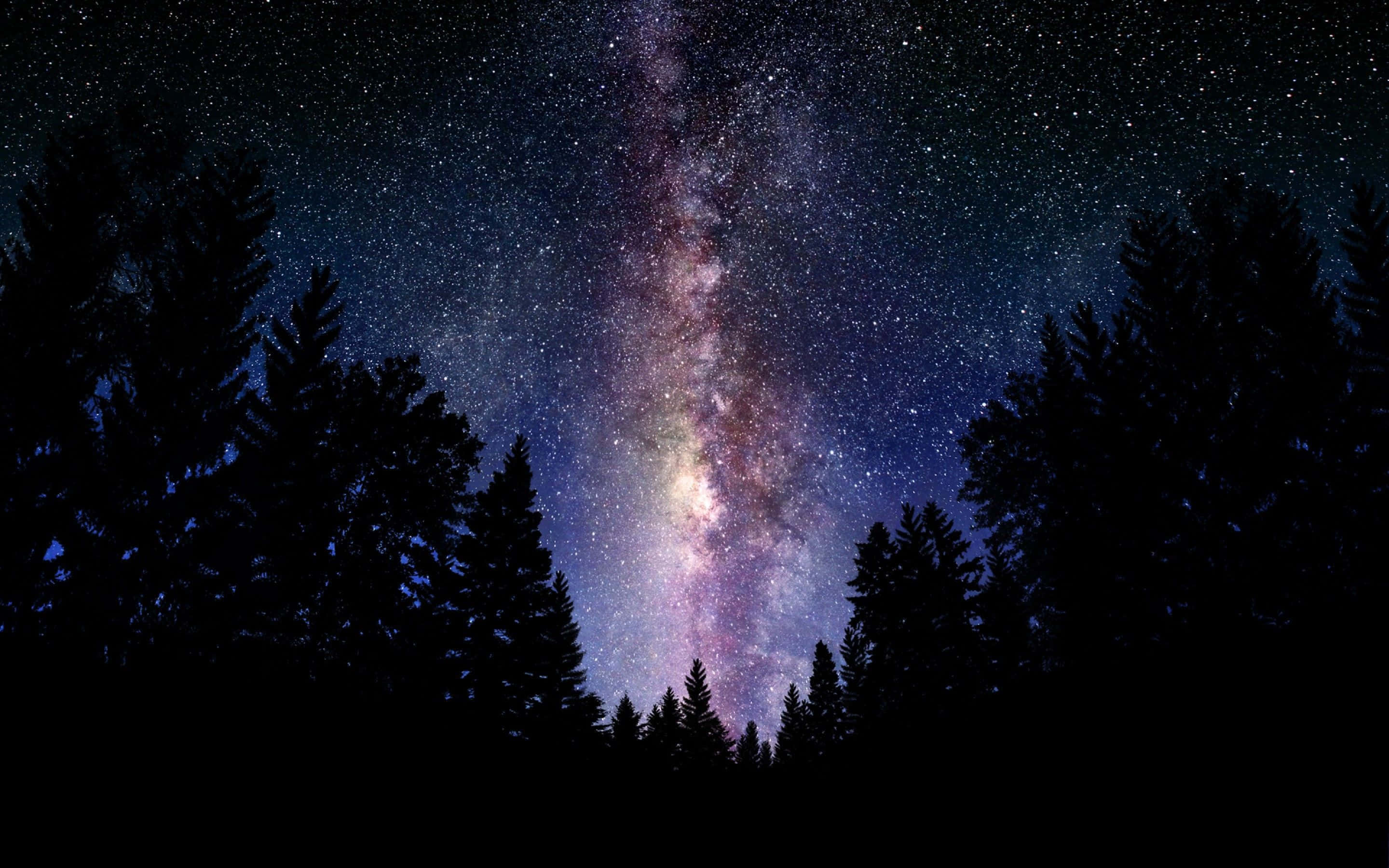 Smuk galakse i en mørk skov Wallpapers
