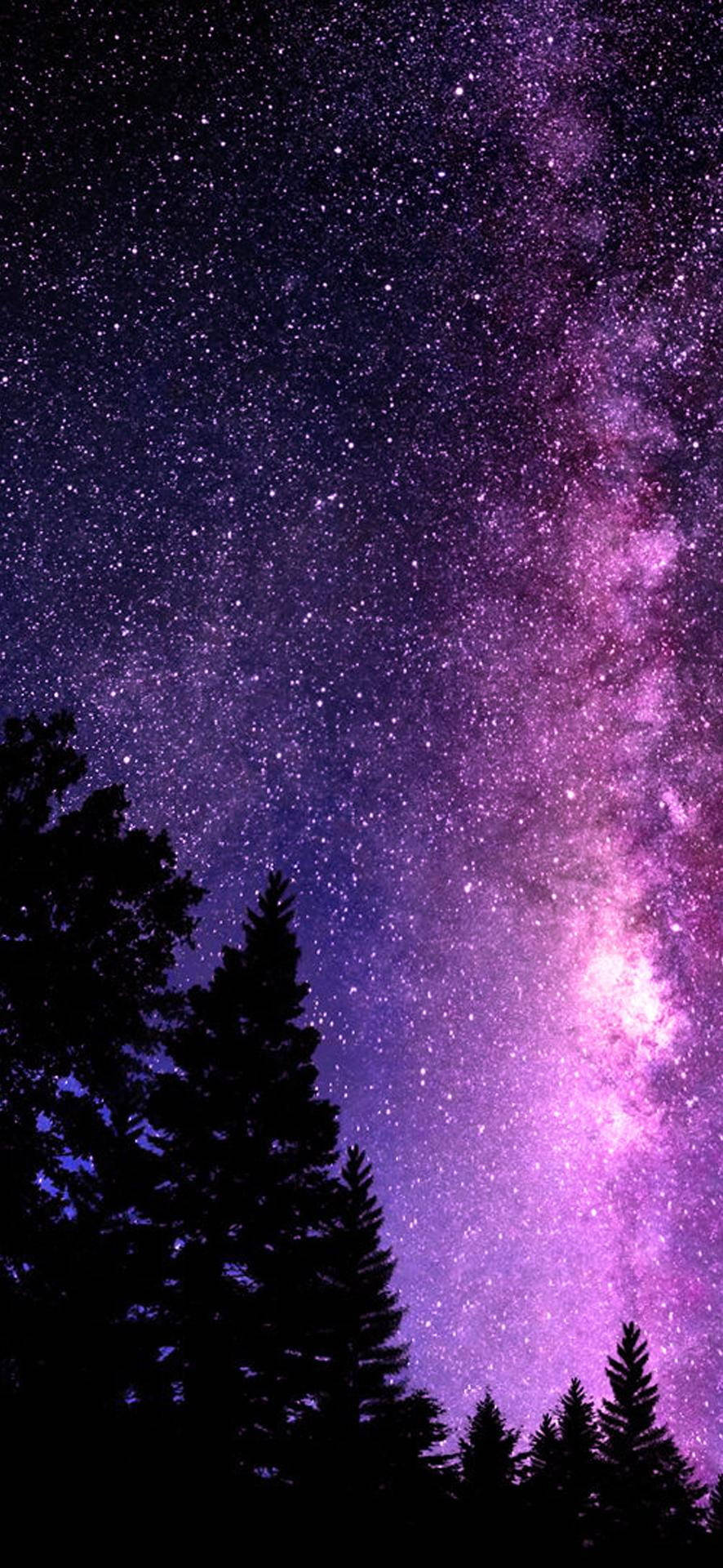 Smuk Galakse Trætoppe Wallpapers