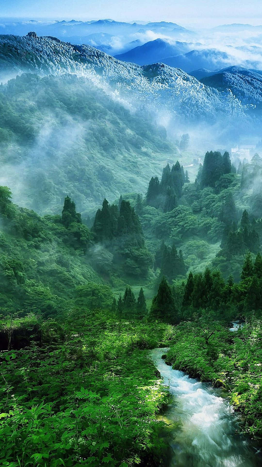 Smuk grøn skov til Android natur Wallpapers