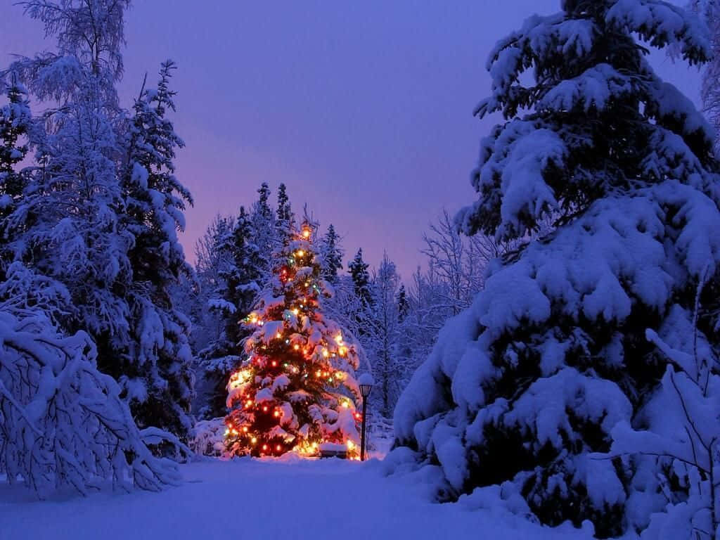 Smuk julebaggrund til vinter Wallpapers