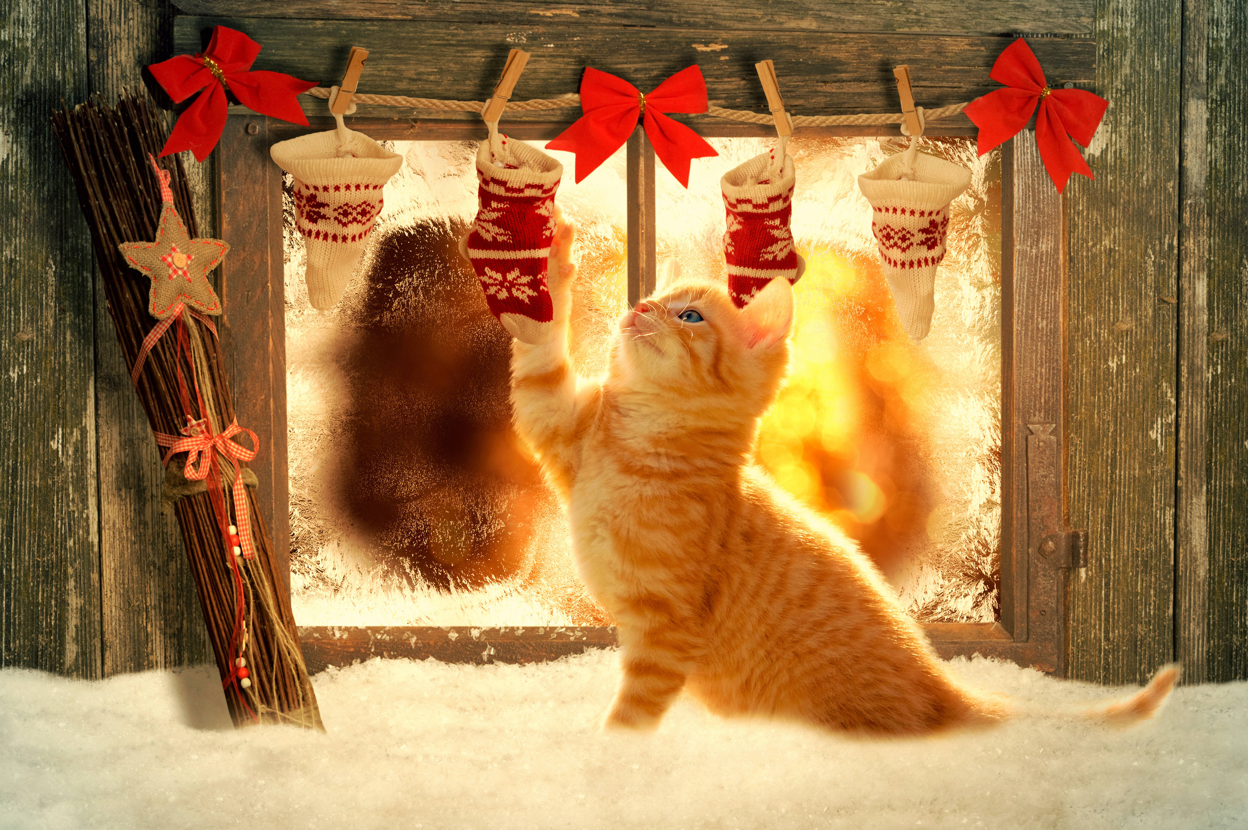 Smuk julekat med strømpe Wallpapers