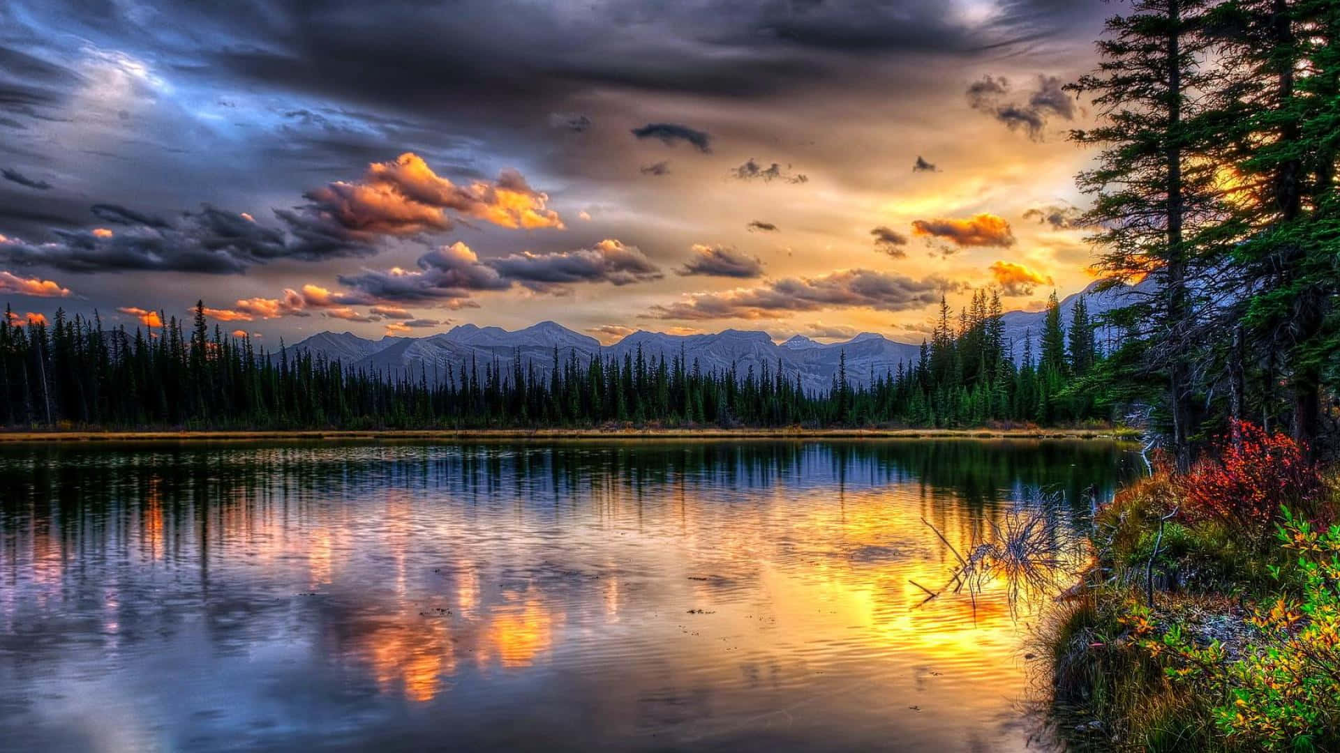 Smuk natur skrivebord Canada skov sø Wallpapers