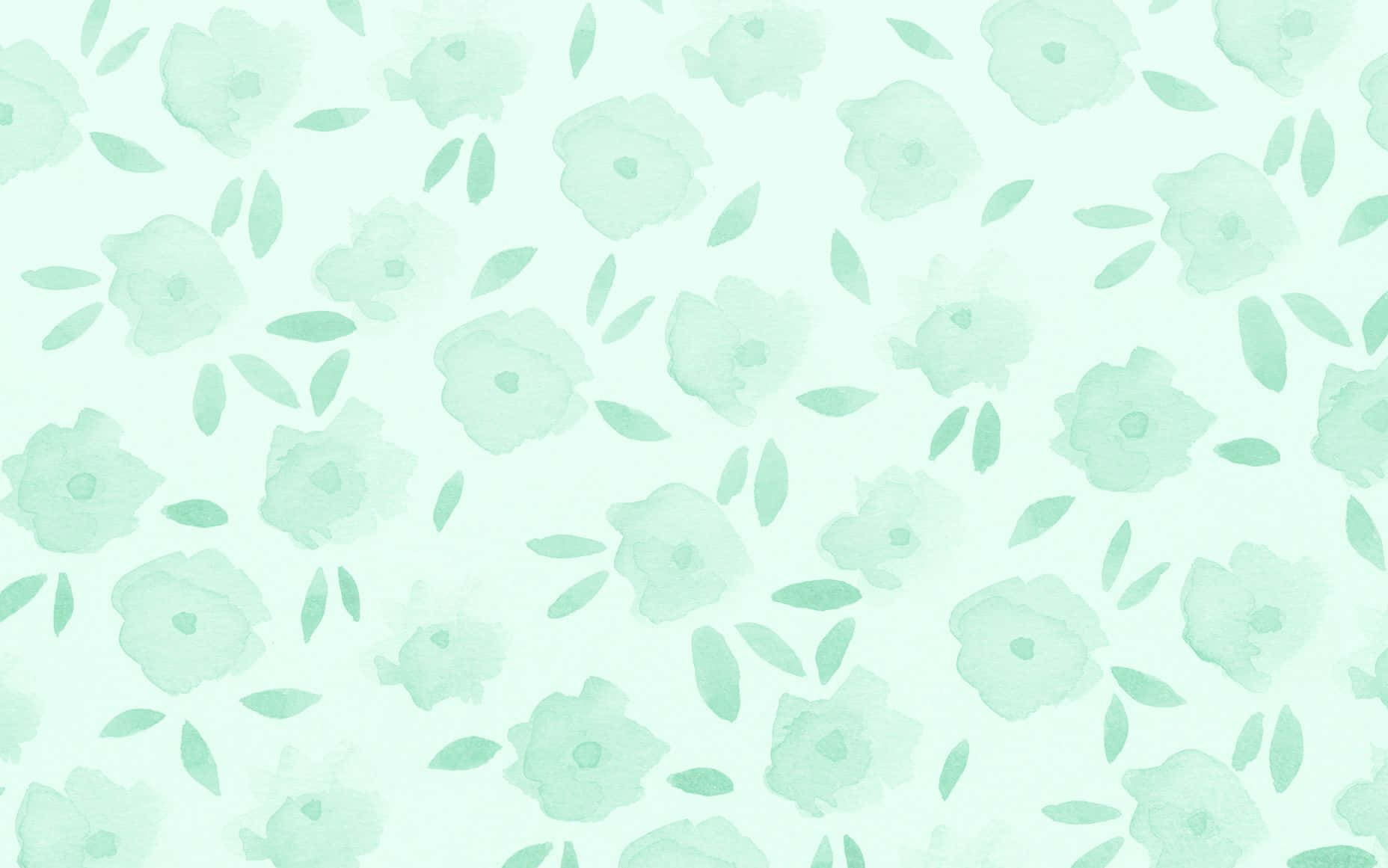 Smuk pastelgrøn baggrund Wallpapers