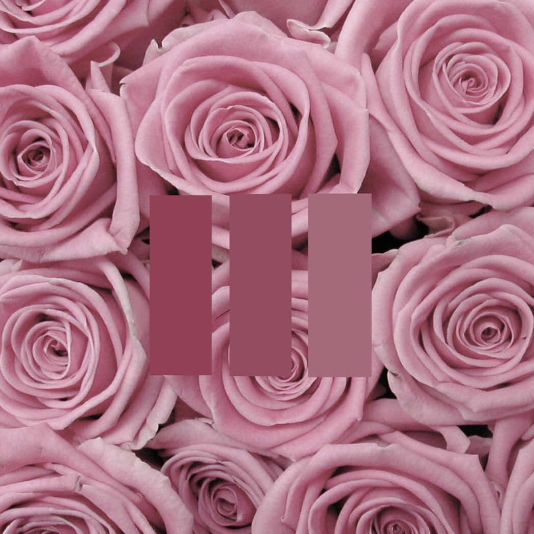 Smuk pink æstetisk billede af en fluffy pink sky mod en blå himmel. Wallpapers