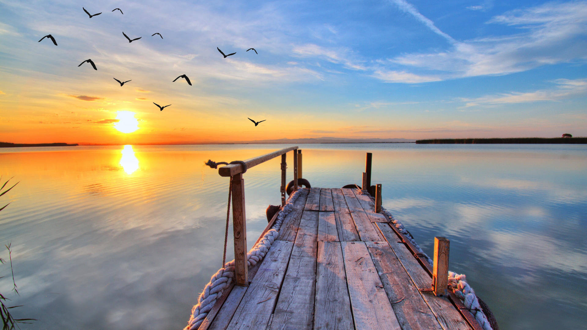 Smuk solnedgang 1920x1080 HD sommer Wallpapers