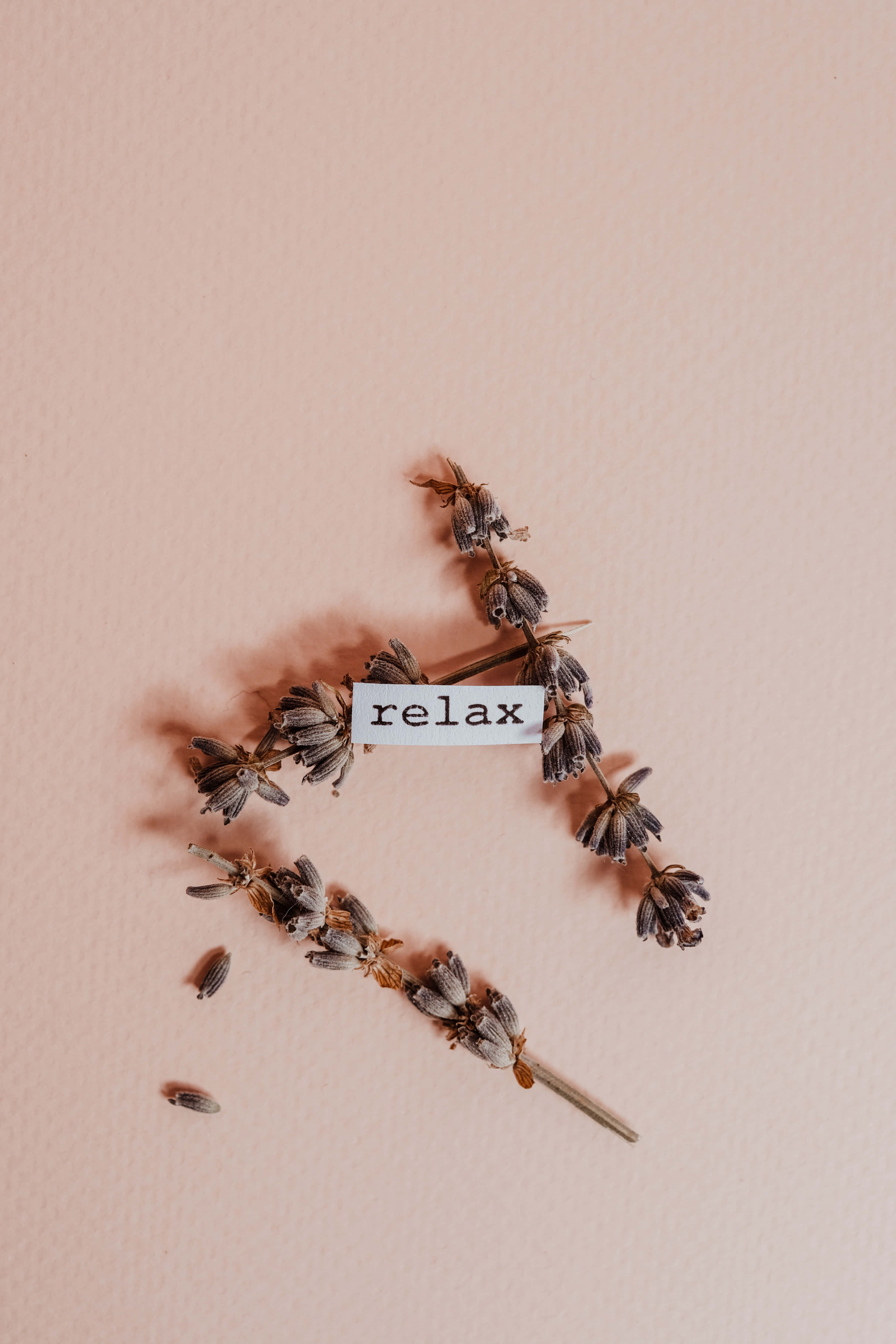 Smuk, æstetisk beige baggrund Wallpapers