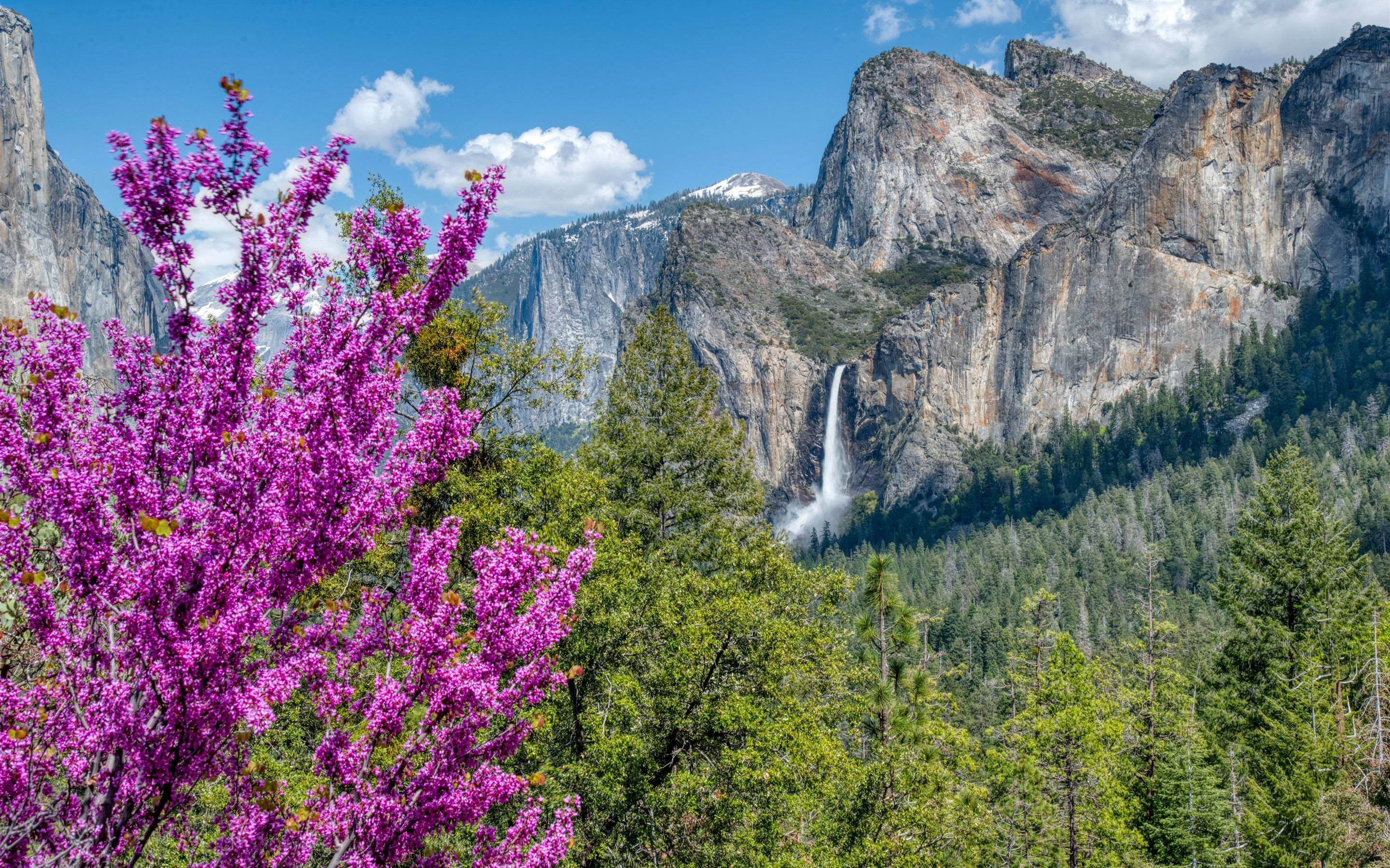 Smuk vandfald Yosemite Wallpapers