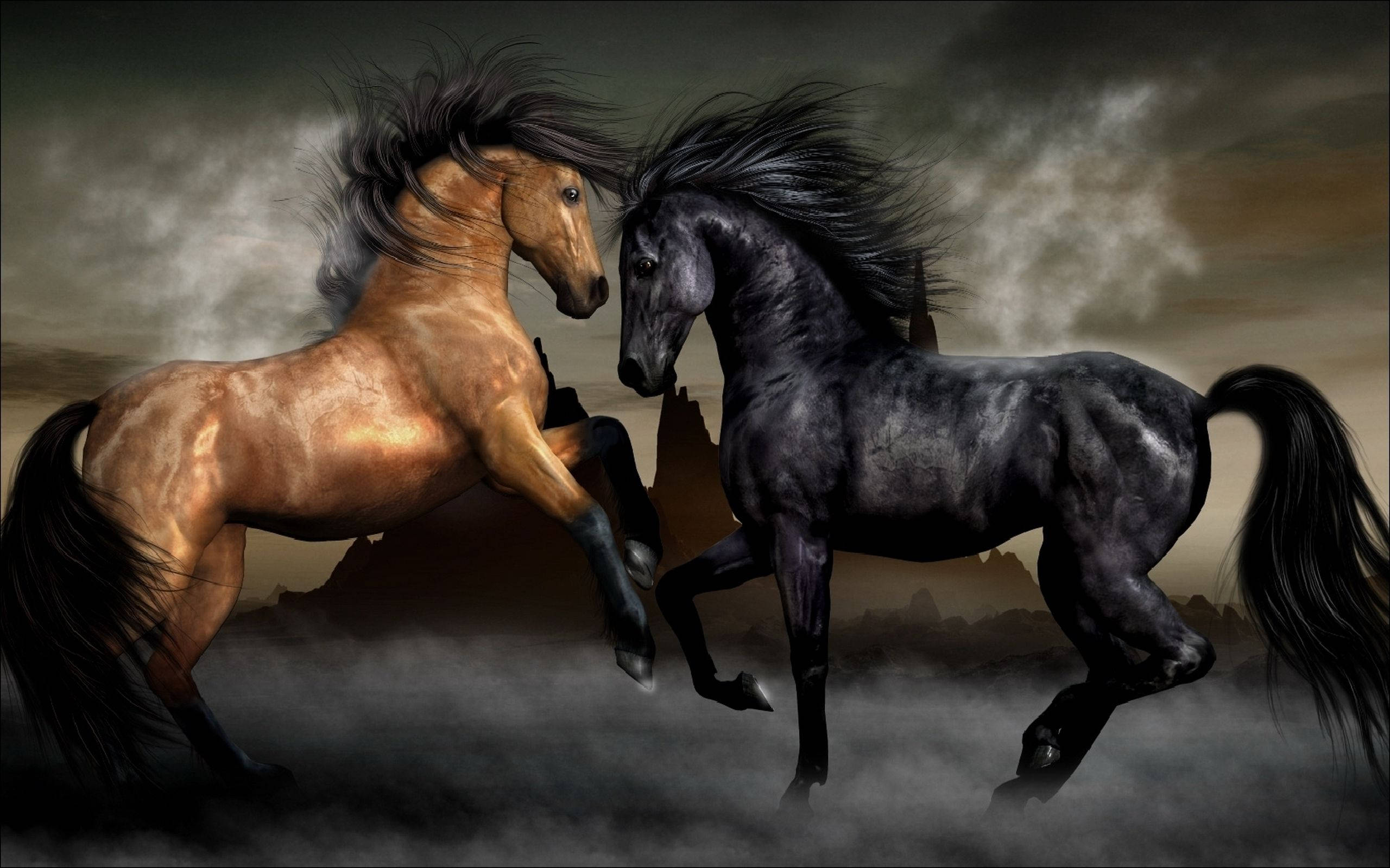 Smukke brune og sorte heste Wallpapers