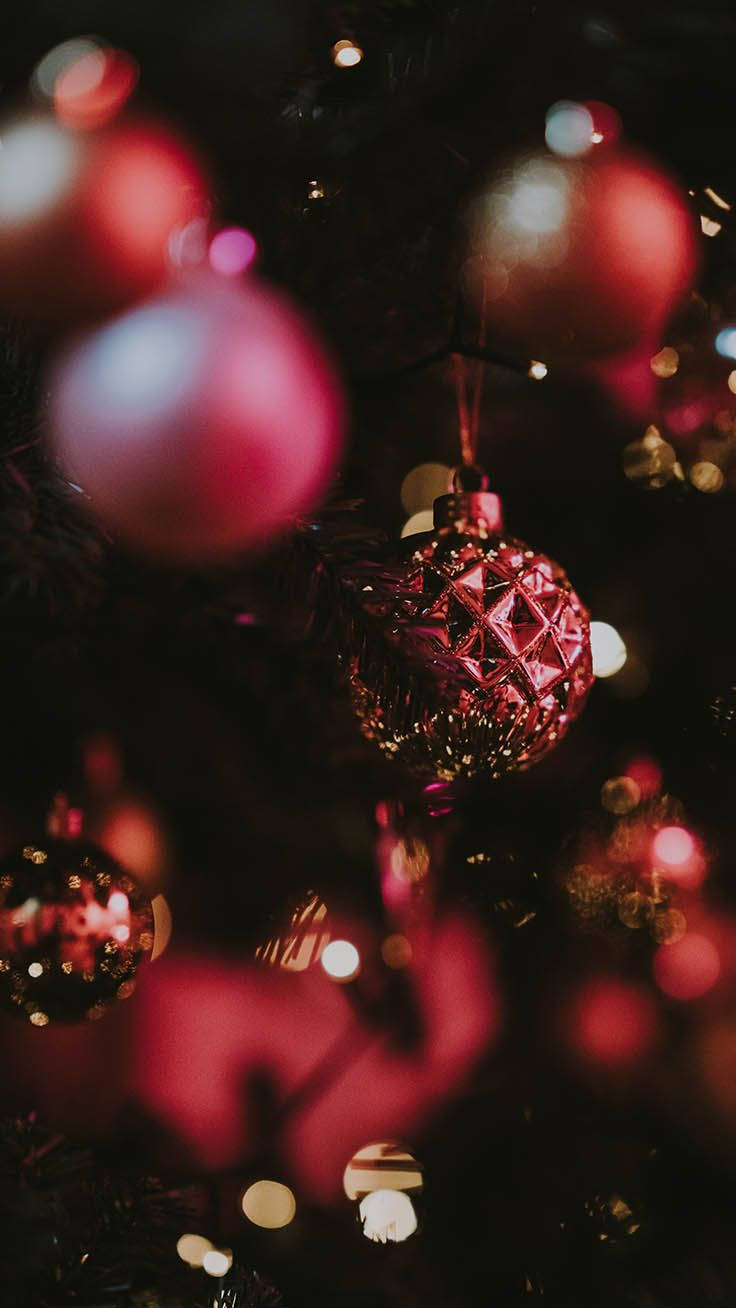 Smukke hængende mørkerosa festlige julekugler Wallpapers