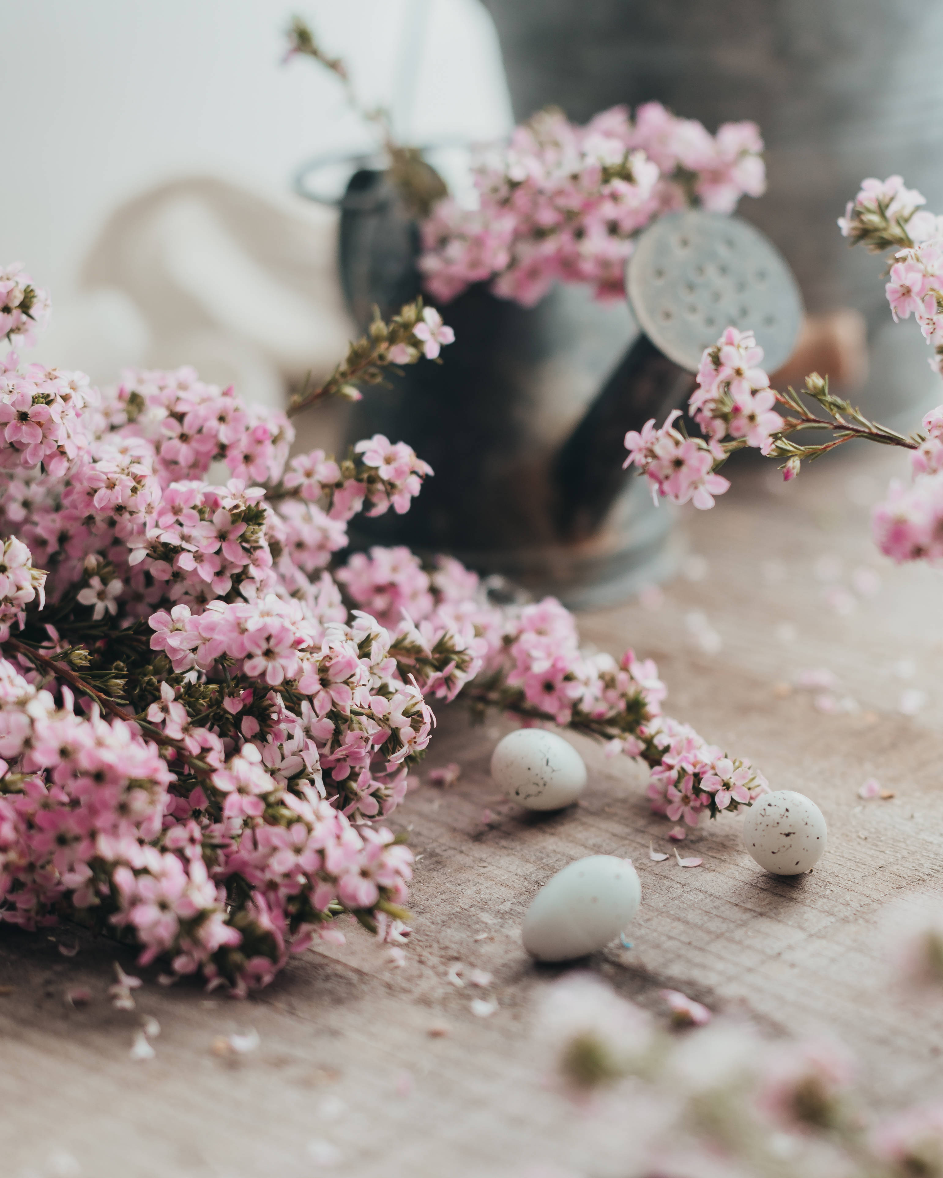 Smukke lyserøde blomster og påskevagtelæg bringer den glade påskefeiring ind Wallpapers