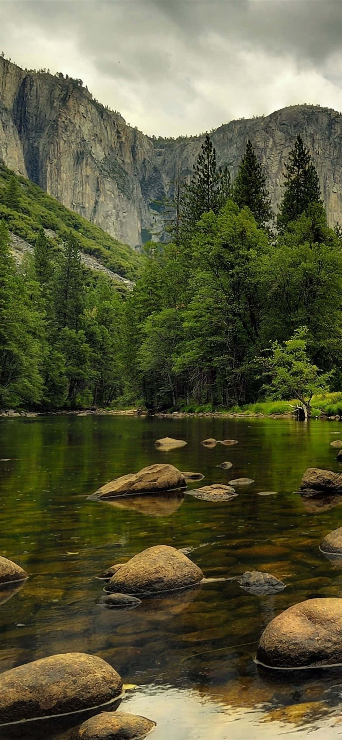 Smukke Naturbilleder Wallpapers