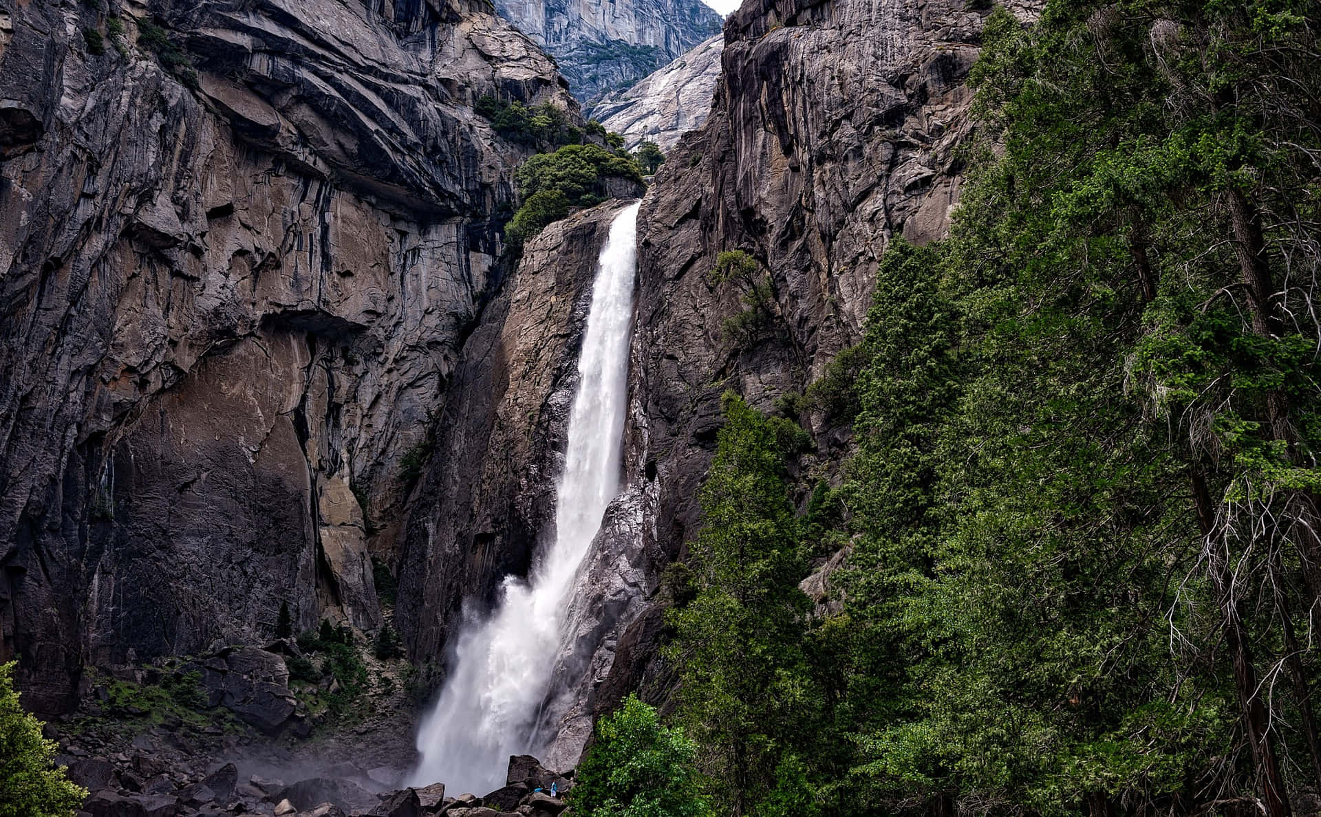 Smukke Yosemite Falls i skoven billede Wallpapers
