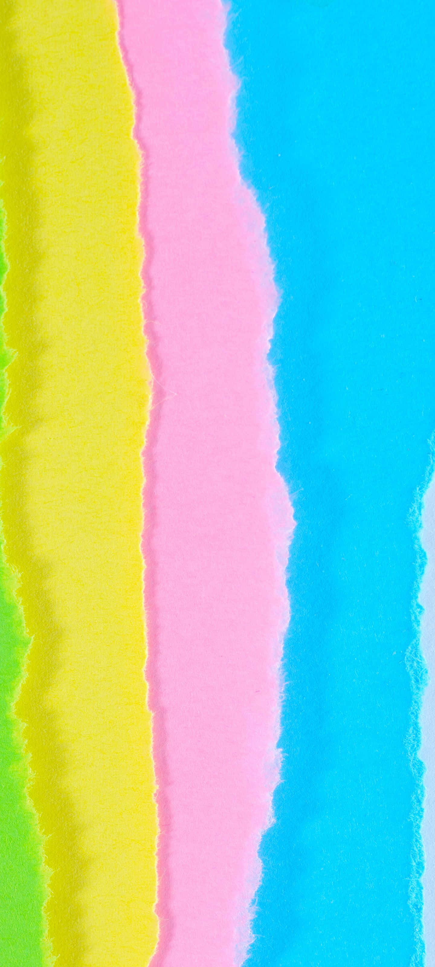 Smukt træ med livlige, grønne blade omgivet af lyserøde og gule kronblade Wallpapers