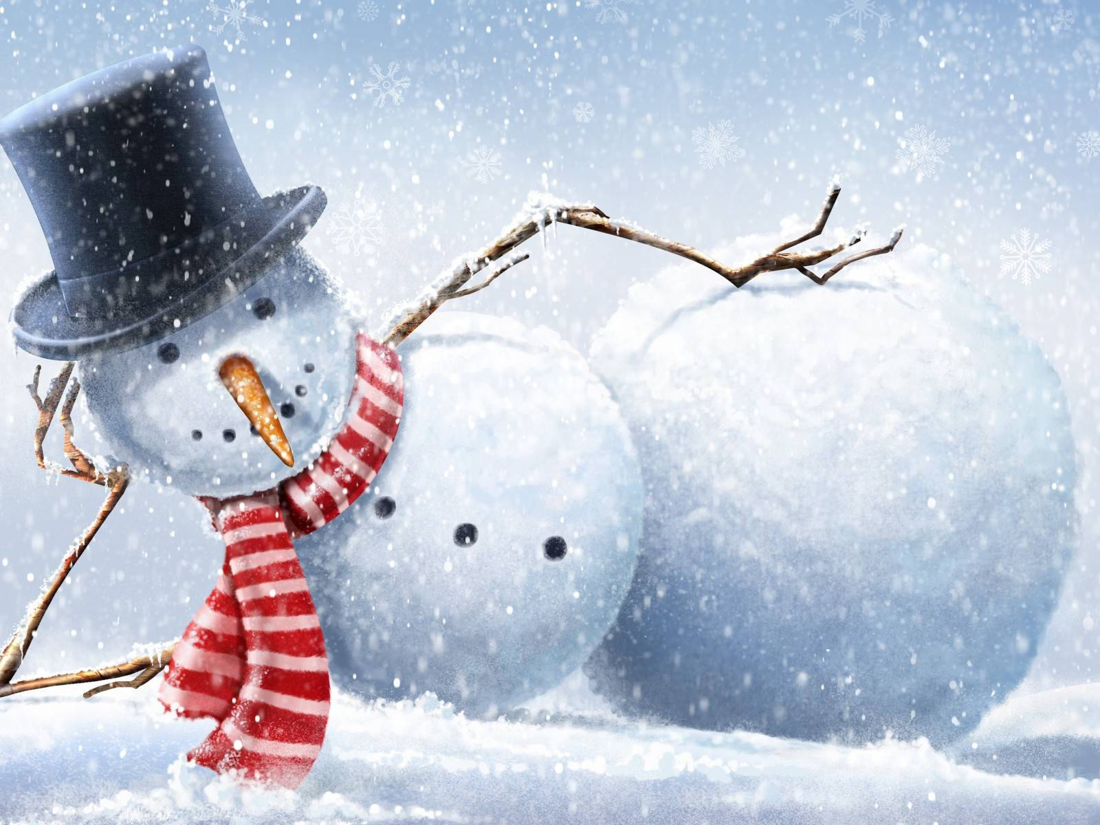 Snefnug Liggende Sjov Jul Wallpapers
