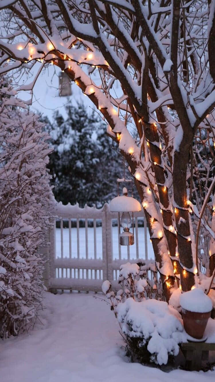 Snefyldt låge hyggelig vinter Tumblr Wallpapers