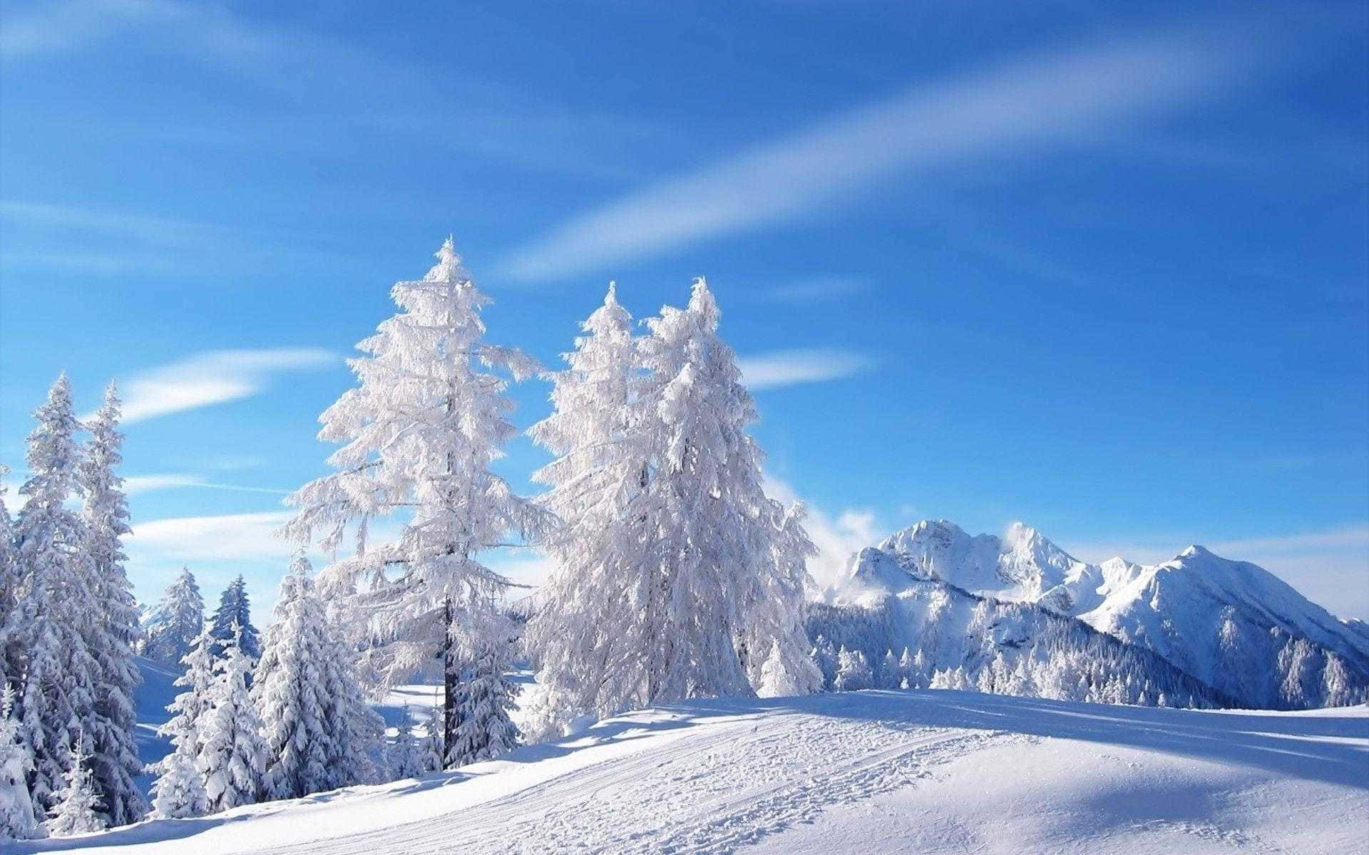 Sneklædt bjerg vinterlandskab baggrund Wallpapers