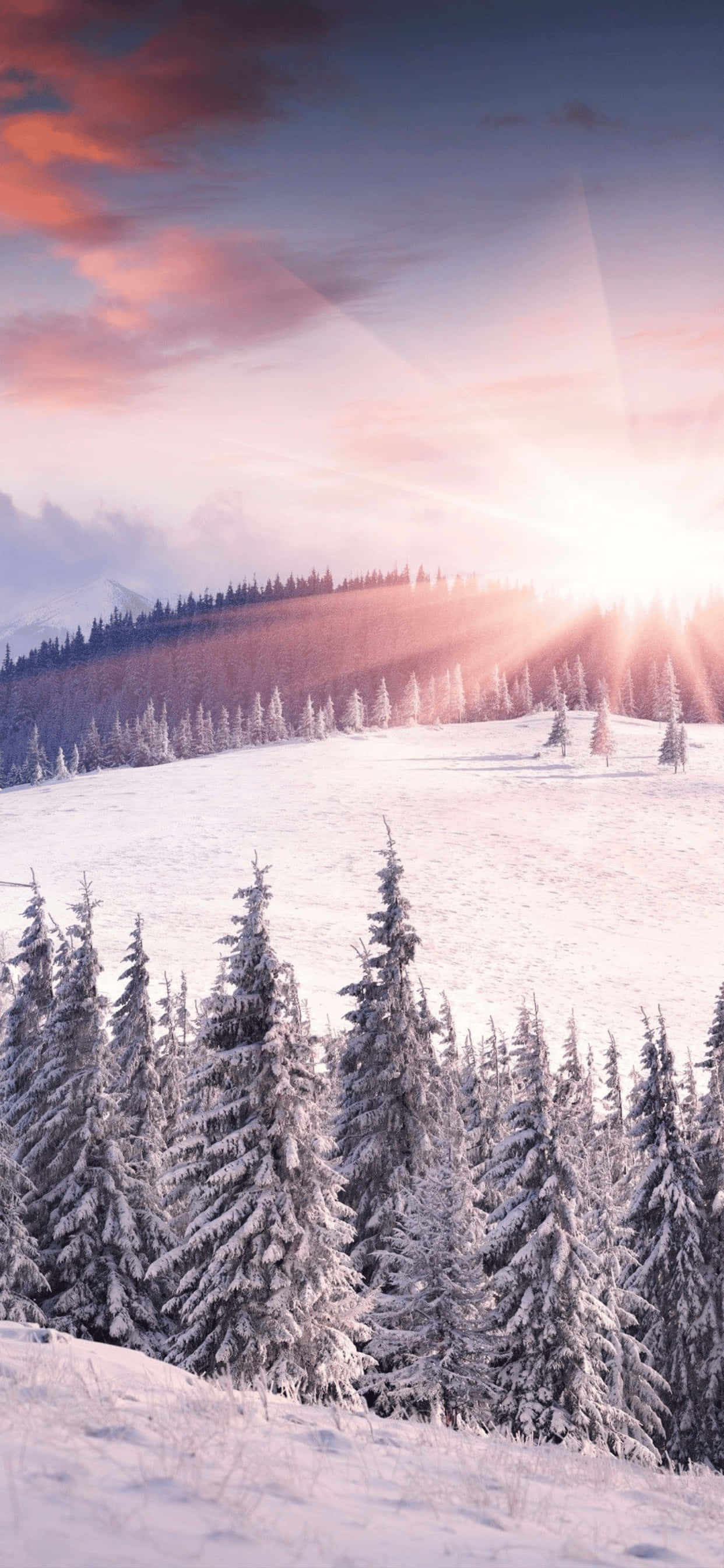 Sneklædt bjergbakke iPhone XS Max vinterbaggrund Wallpapers