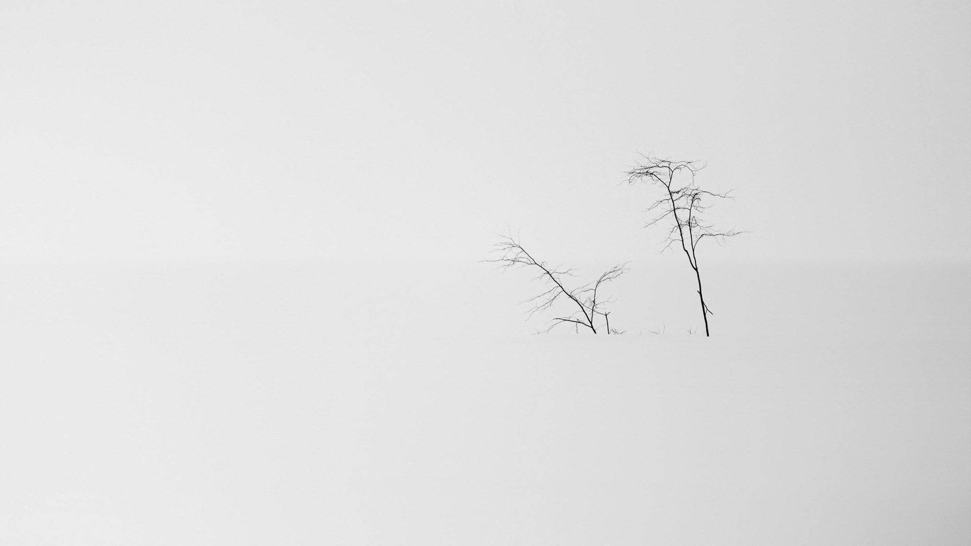 Sneklædt landskab minimalistisk æstetisk bærbar Wallpapers