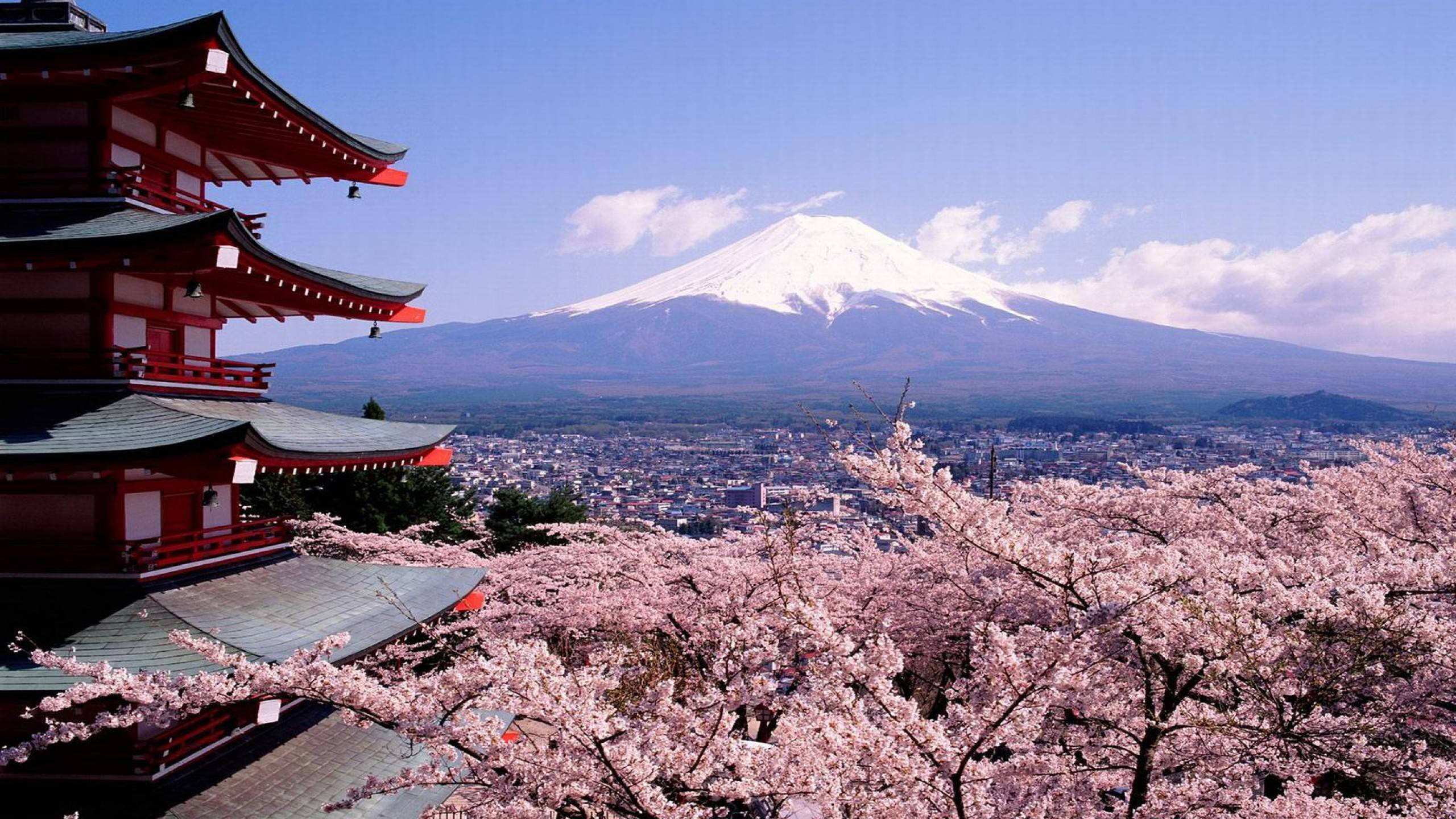 Sneklædt Mt. Fuji Japan Wallpapers