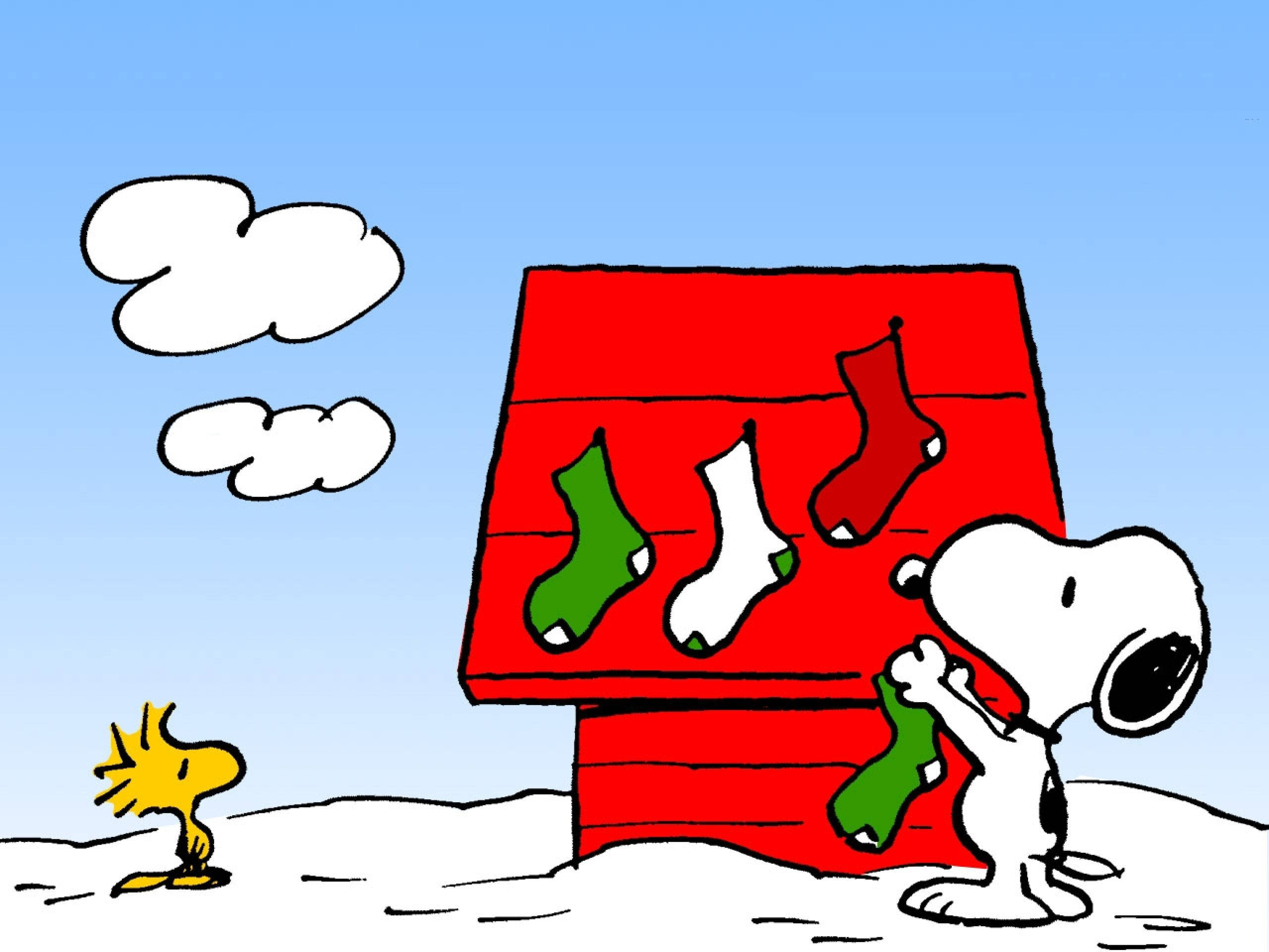 Snoopy julesokker Wallpapers