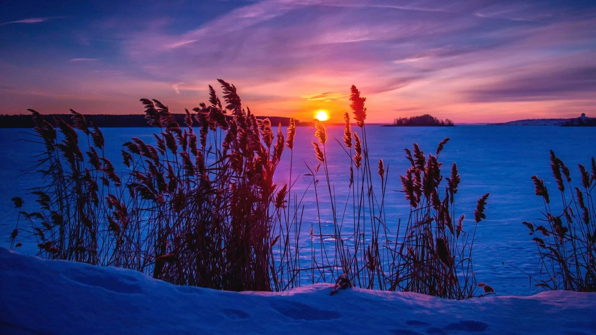 Snøæstetisk solopgang Wallpapers