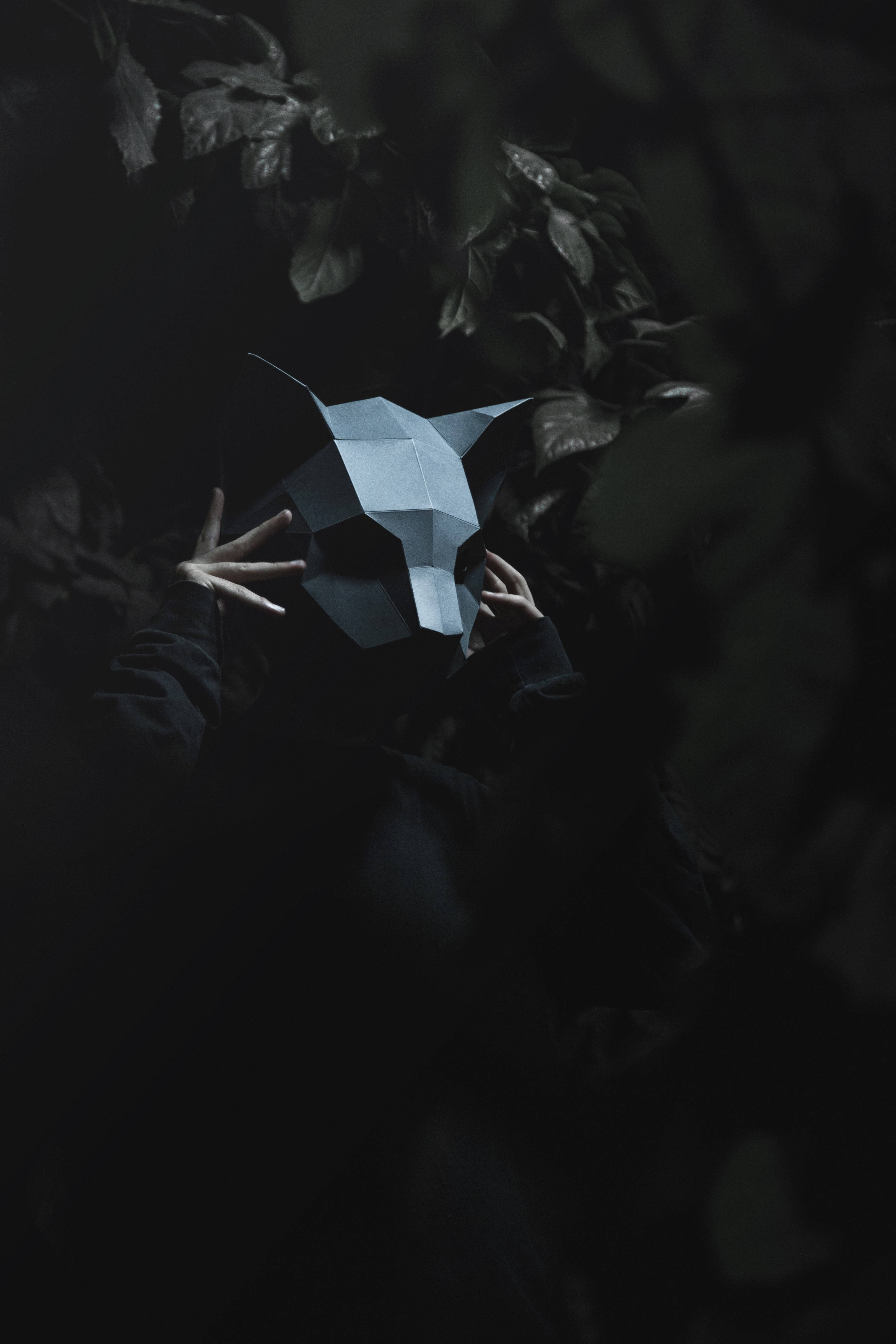 Sød 3D low poly kat maske Wallpapers