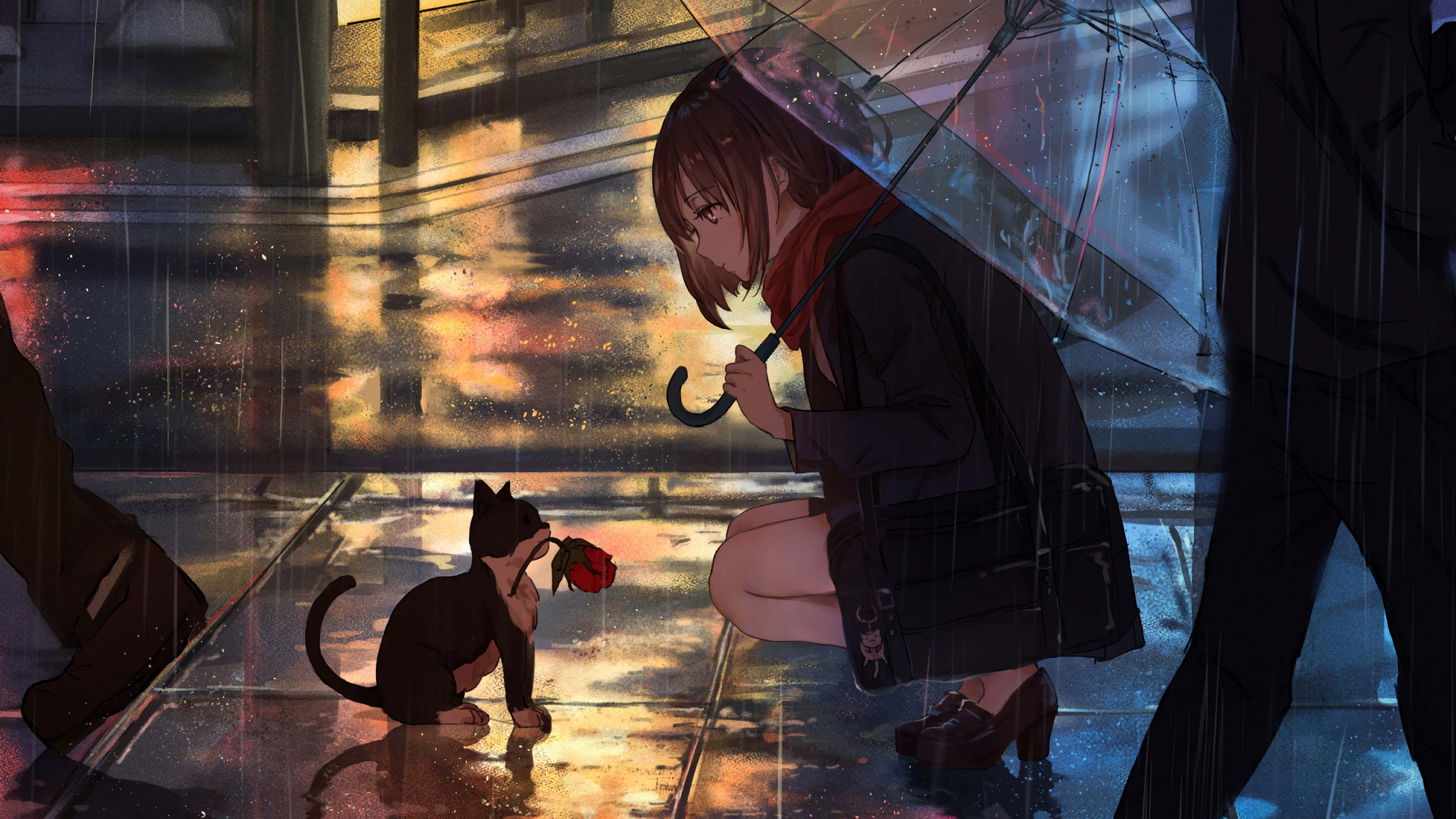 Sød anime kat sover trygt Wallpapers