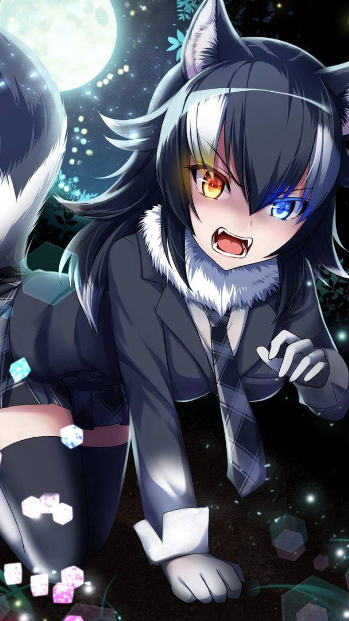 Sød anime PFP ulvepige Wallpapers