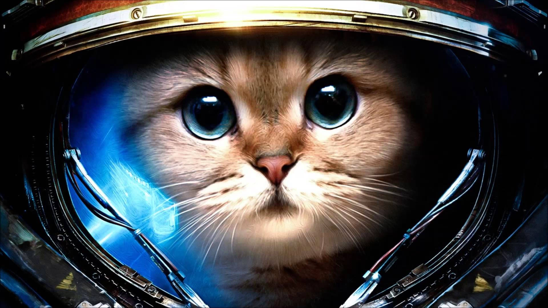 Sød astronaut-kat computer Wallpapers