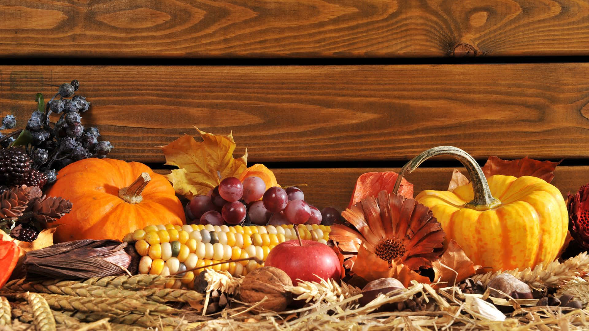 Sød baggrund til Thanksgiving Wallpapers
