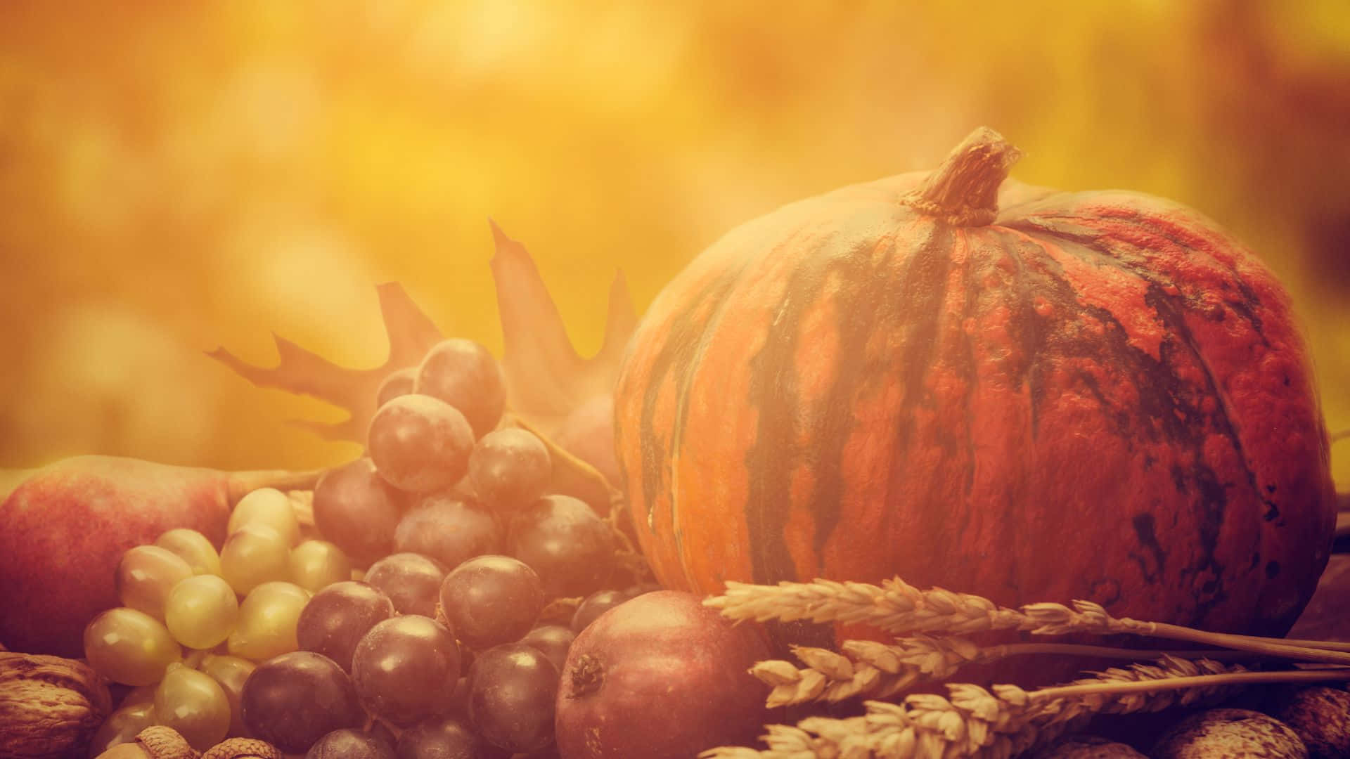 Sød baggrund til Thanksgiving Wallpapers
