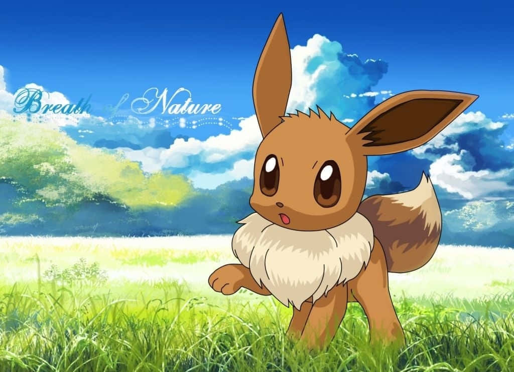 Sød Eevee på græsmark Pokemon Wallpapers