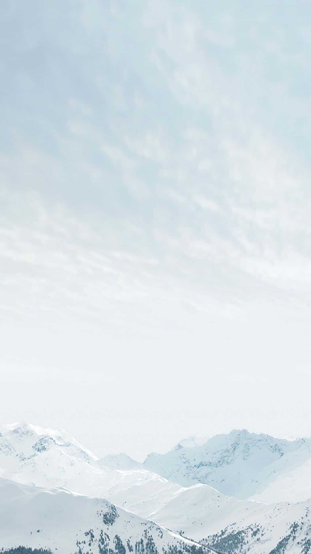 Sød elefant og mus som venner Wallpapers