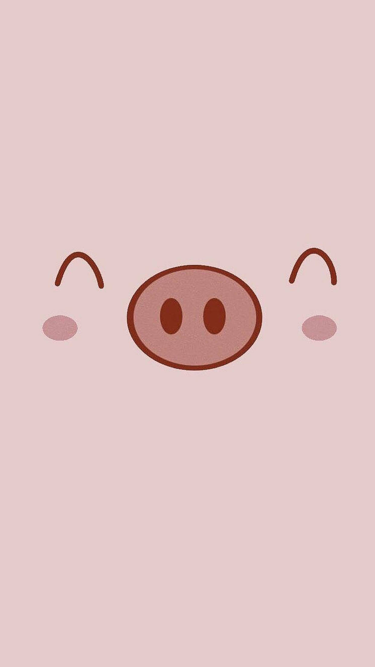 Sød gris smiler Wallpapers