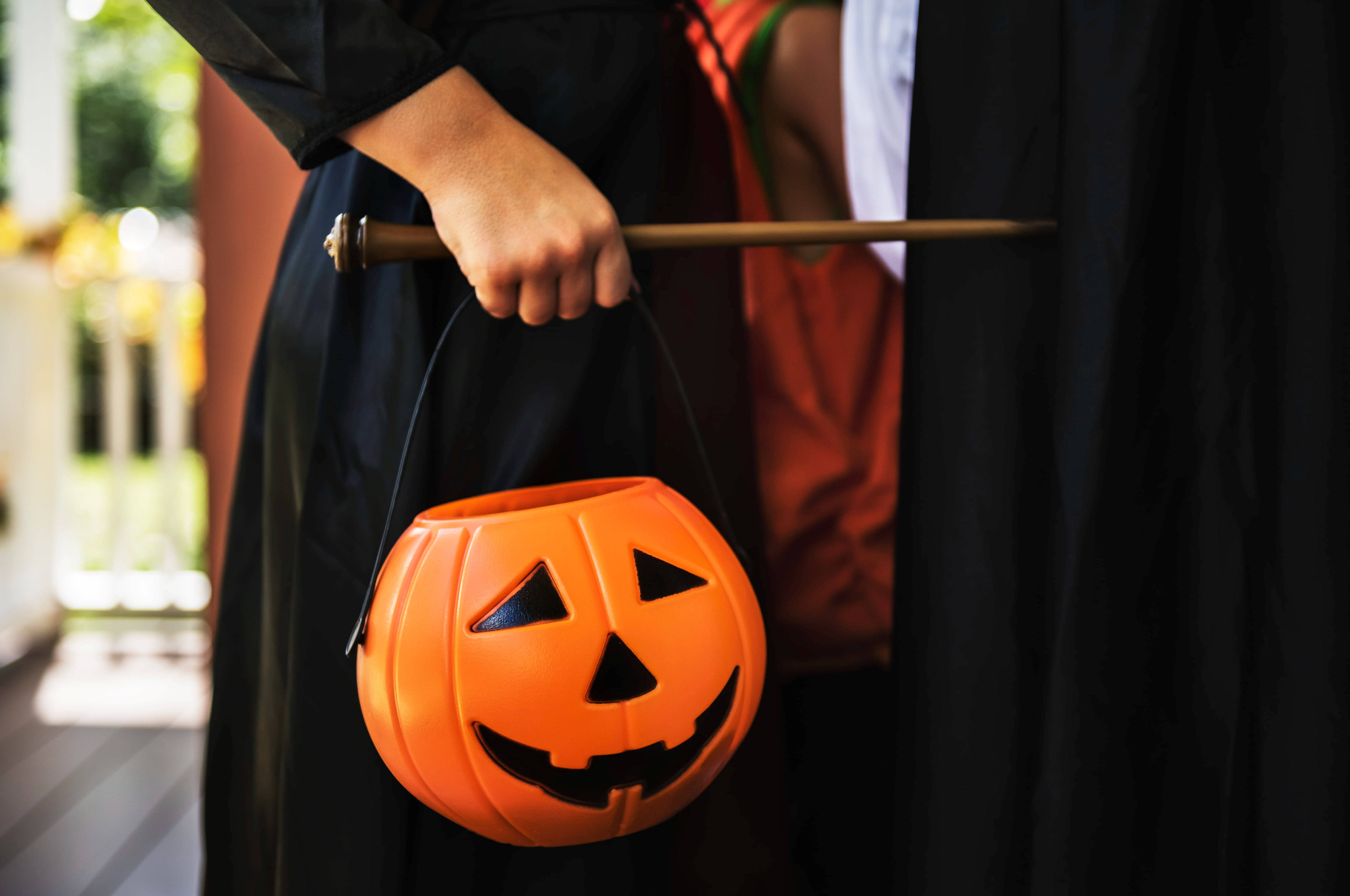 Sød Halloween græskarspand Wallpapers