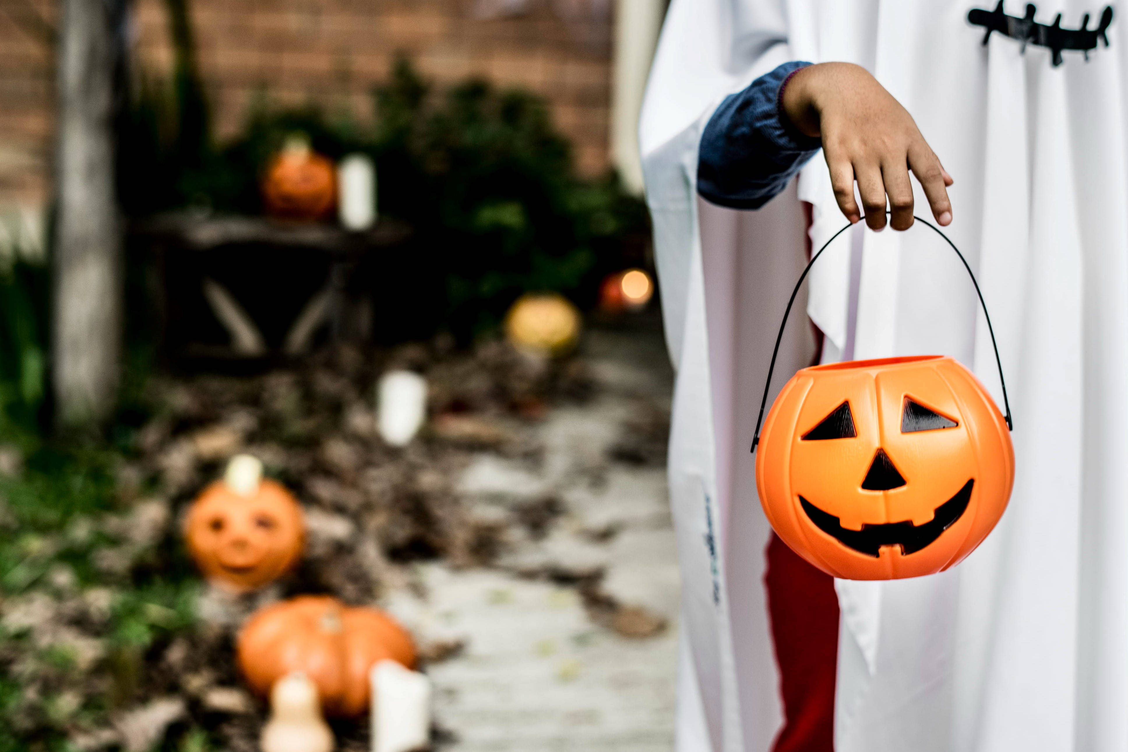 Sød Halloween-græskarspand Wallpapers