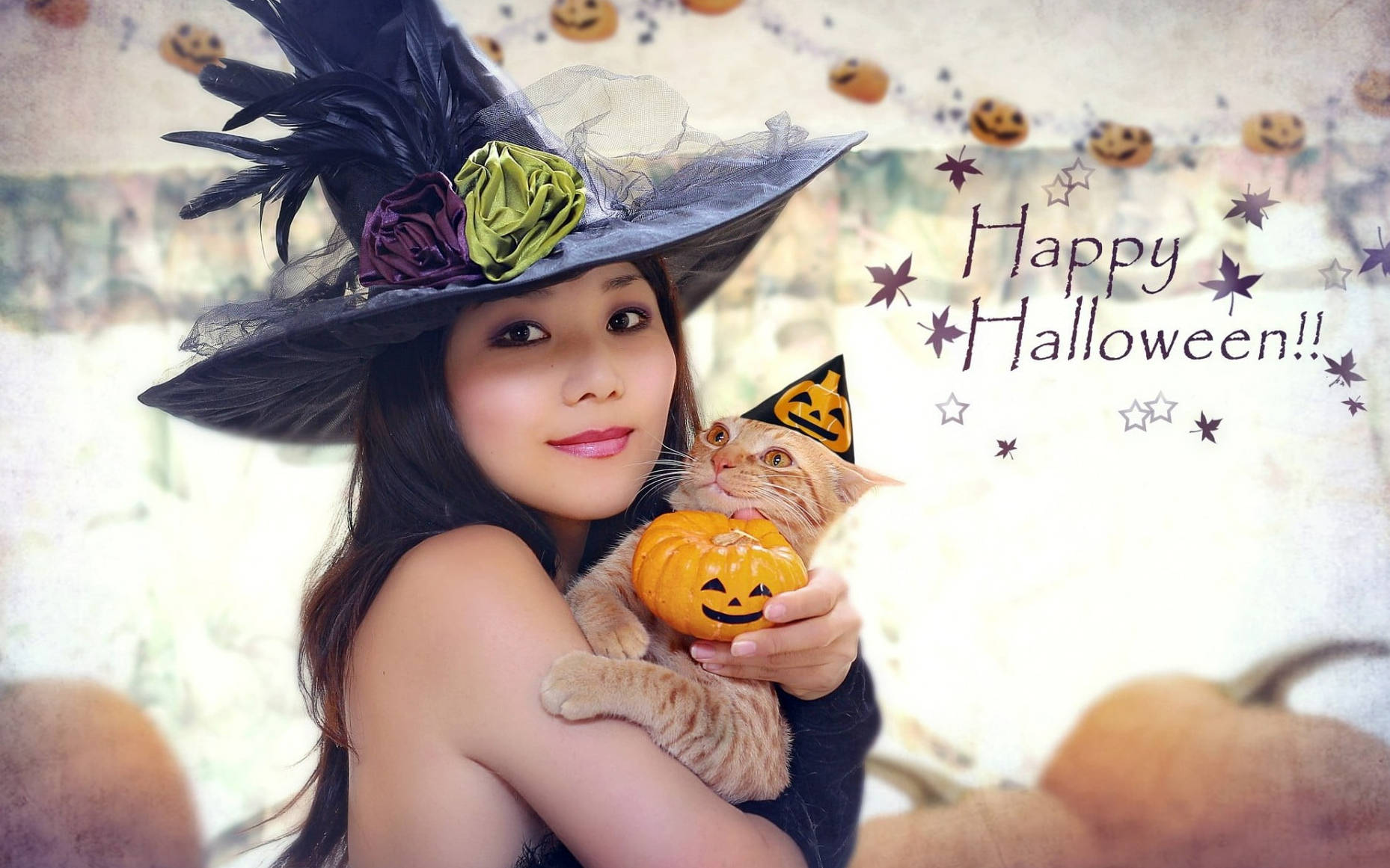 Sød Halloween-heks med kat Wallpapers