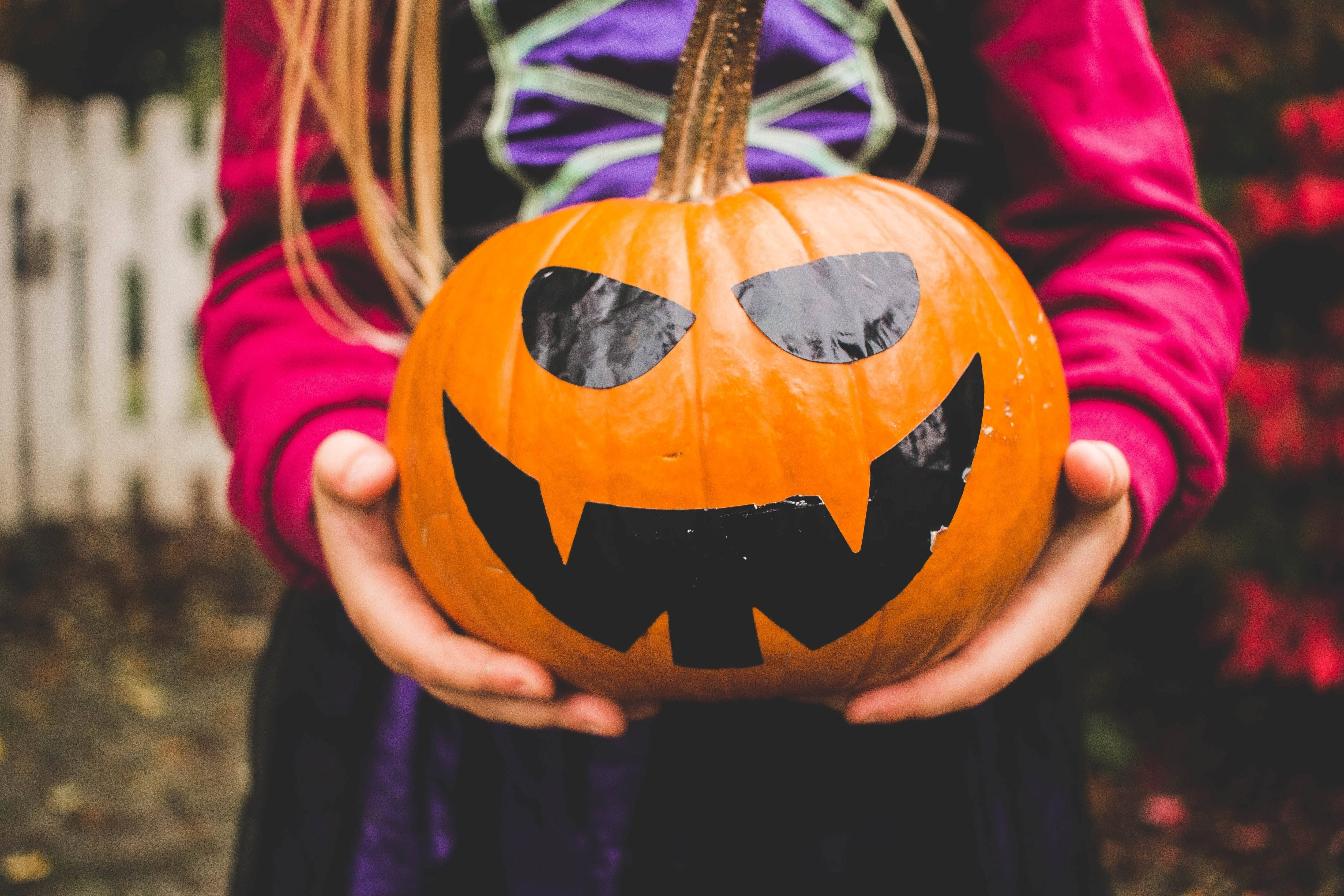 Sød Halloween-pige med græskar Wallpapers