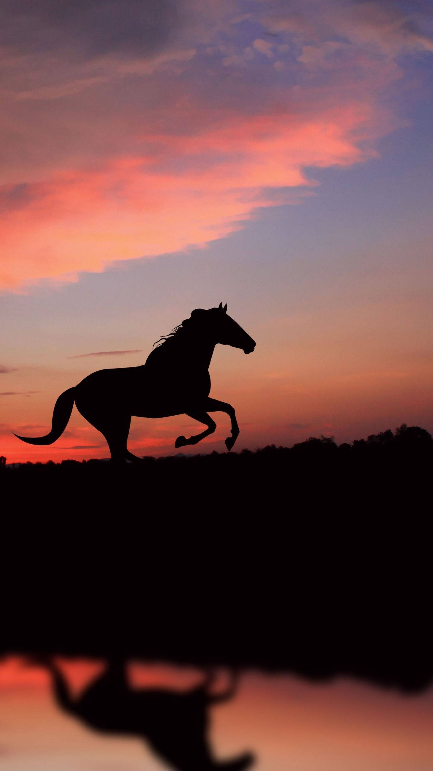Sød hest, der løber ved floden Wallpapers