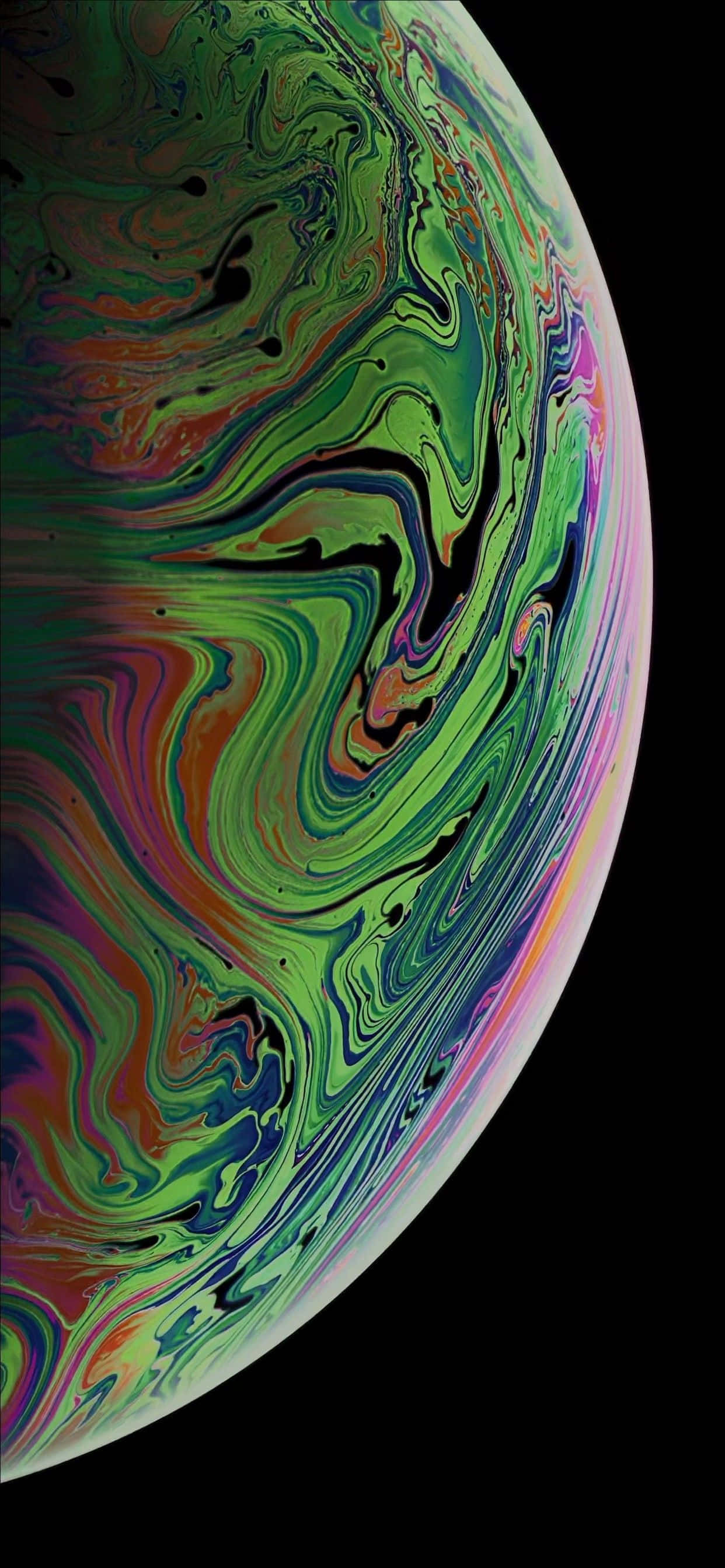 Sød Koala iPhone Baggrund Wallpapers