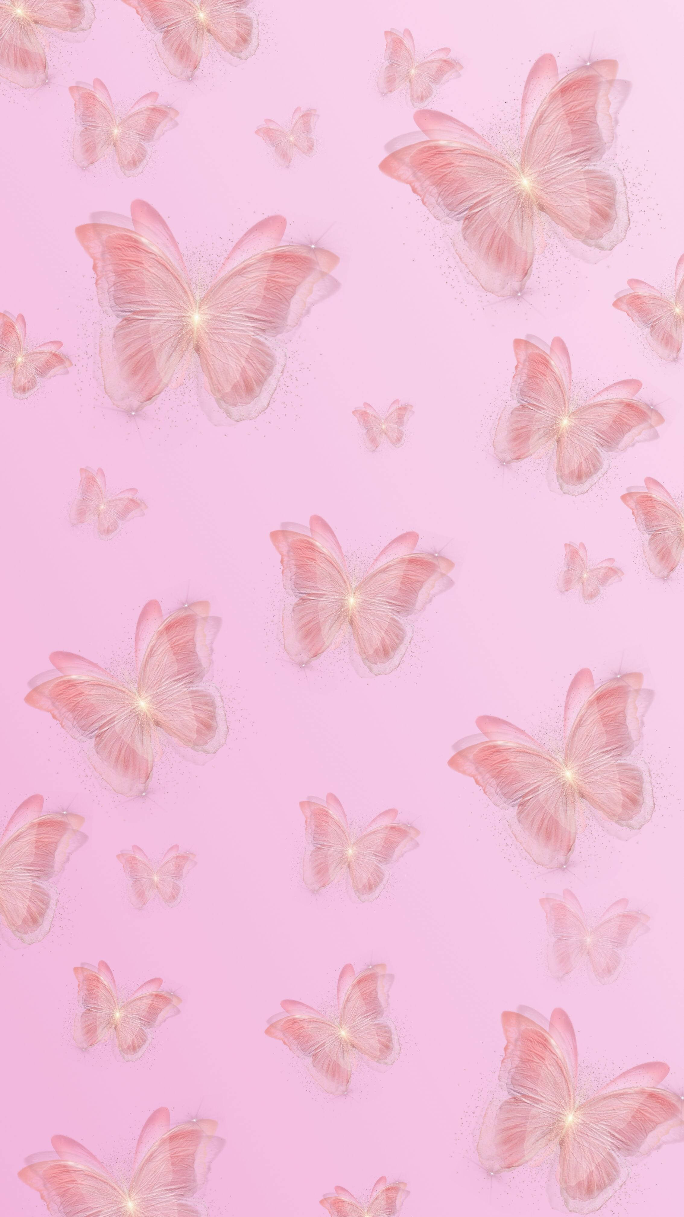 Sød lyserød sommerfugl baggrund til telefon Wallpapers